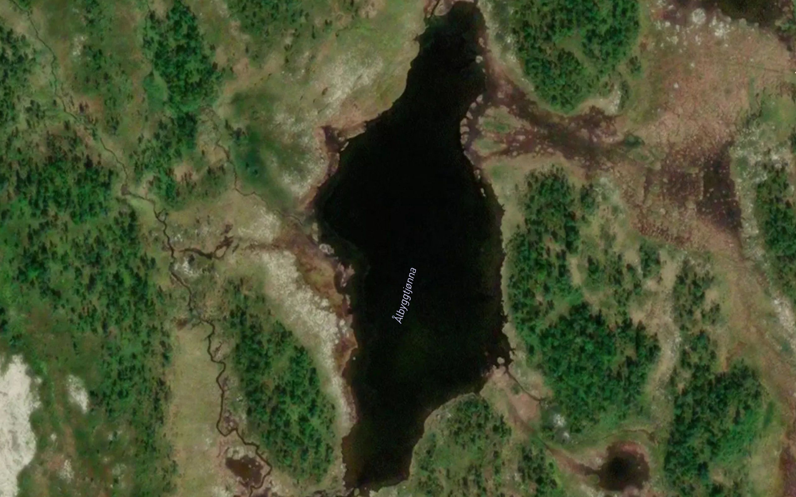 Albyggtjorna