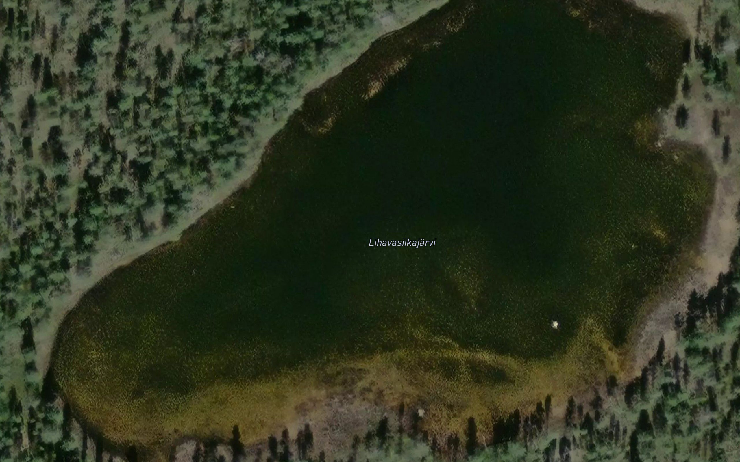 Lihavasiikajarvi