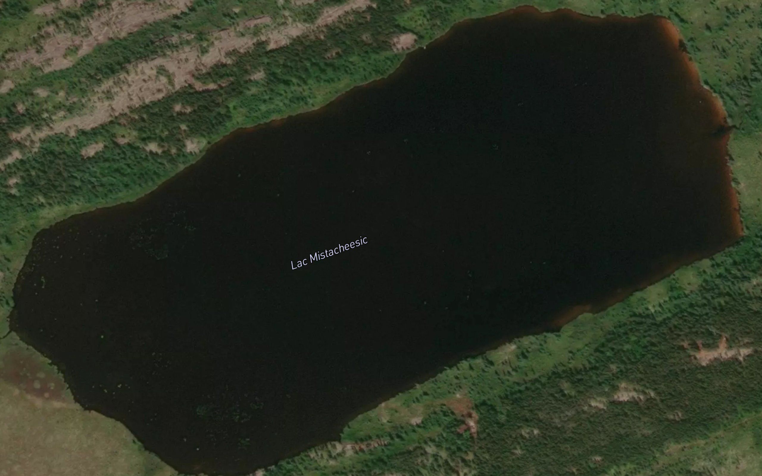 Lac Mistacheesic