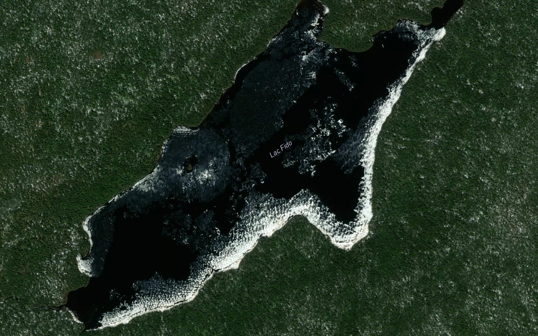 Satellite map of the Lac Fido