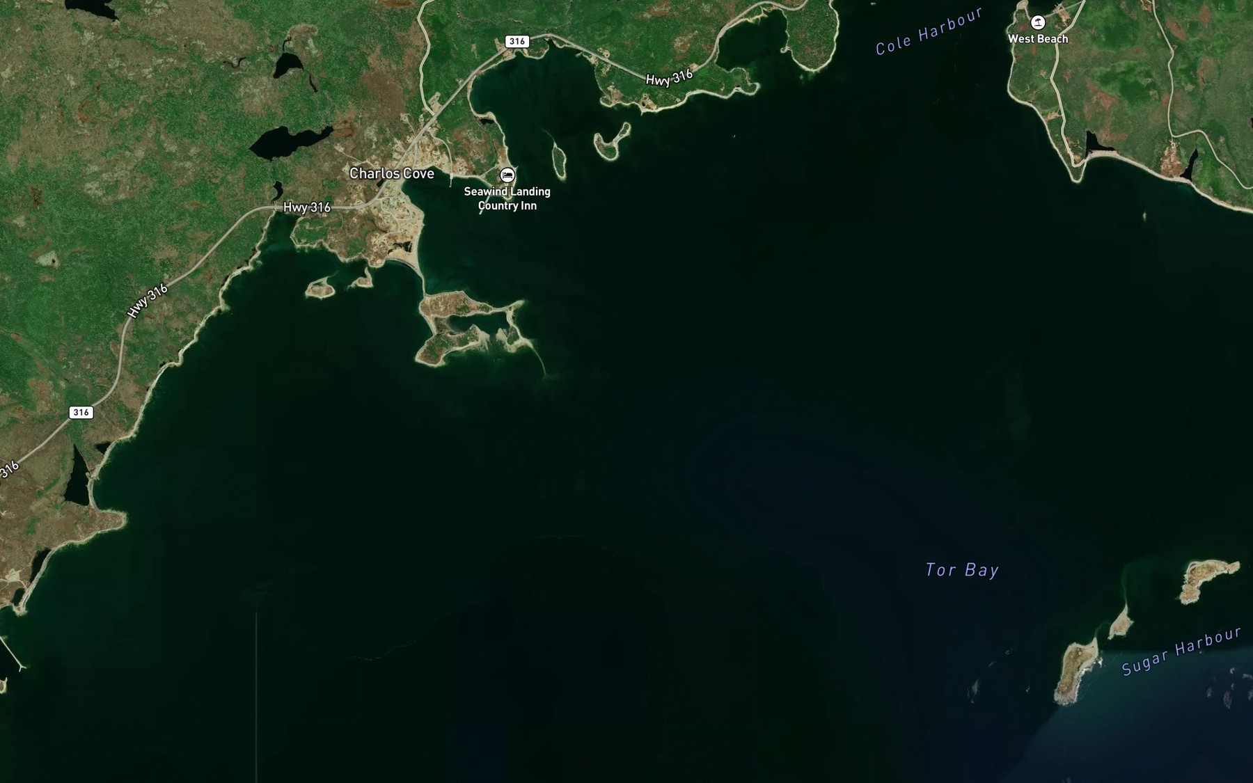 Satellite map of the Tor Bay