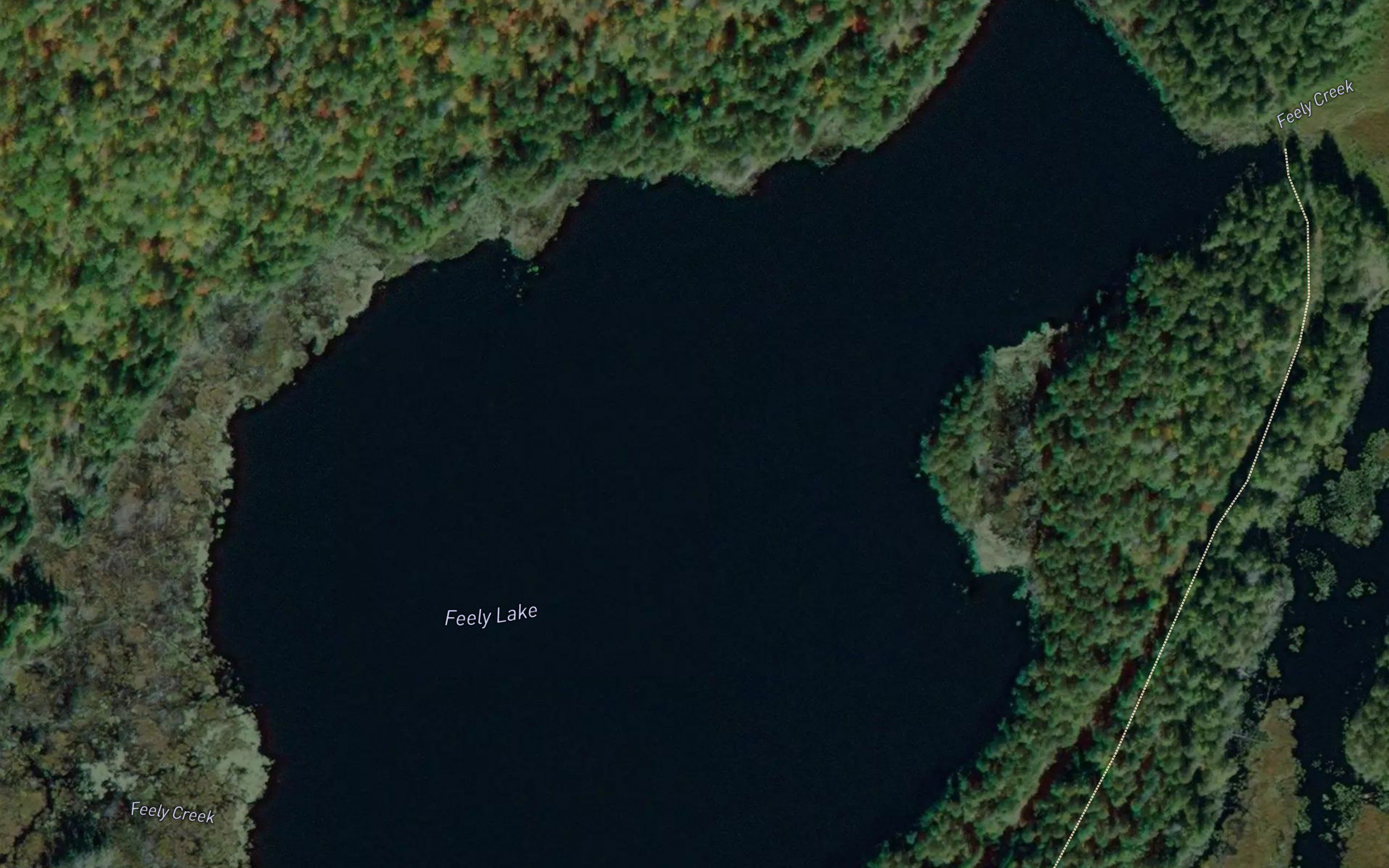 Feely Lake