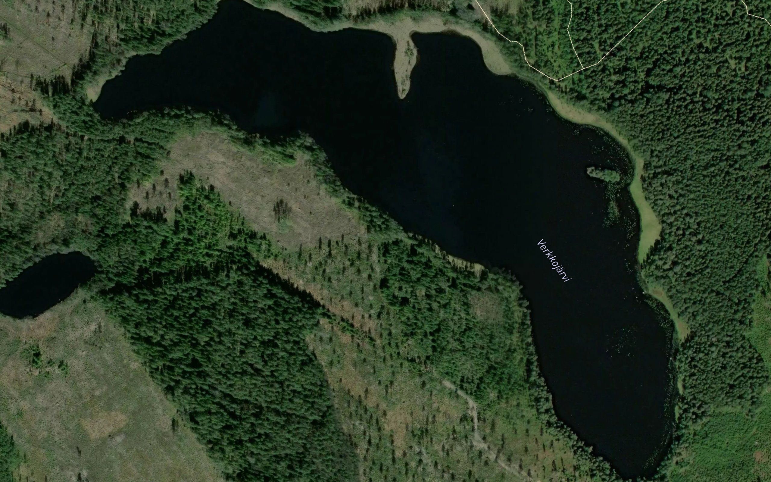 Verkkojarvi