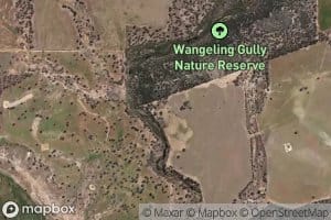Wangeling Gully