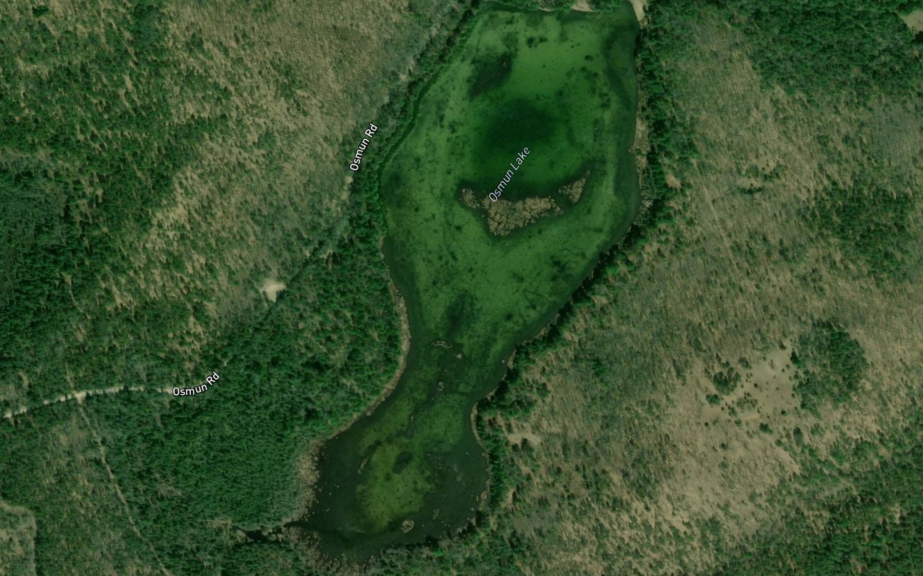 Satellite map of the Osmun Lake