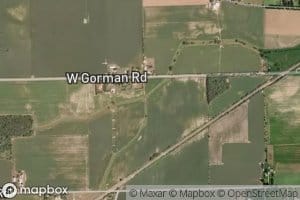 South Branch Stony Creek