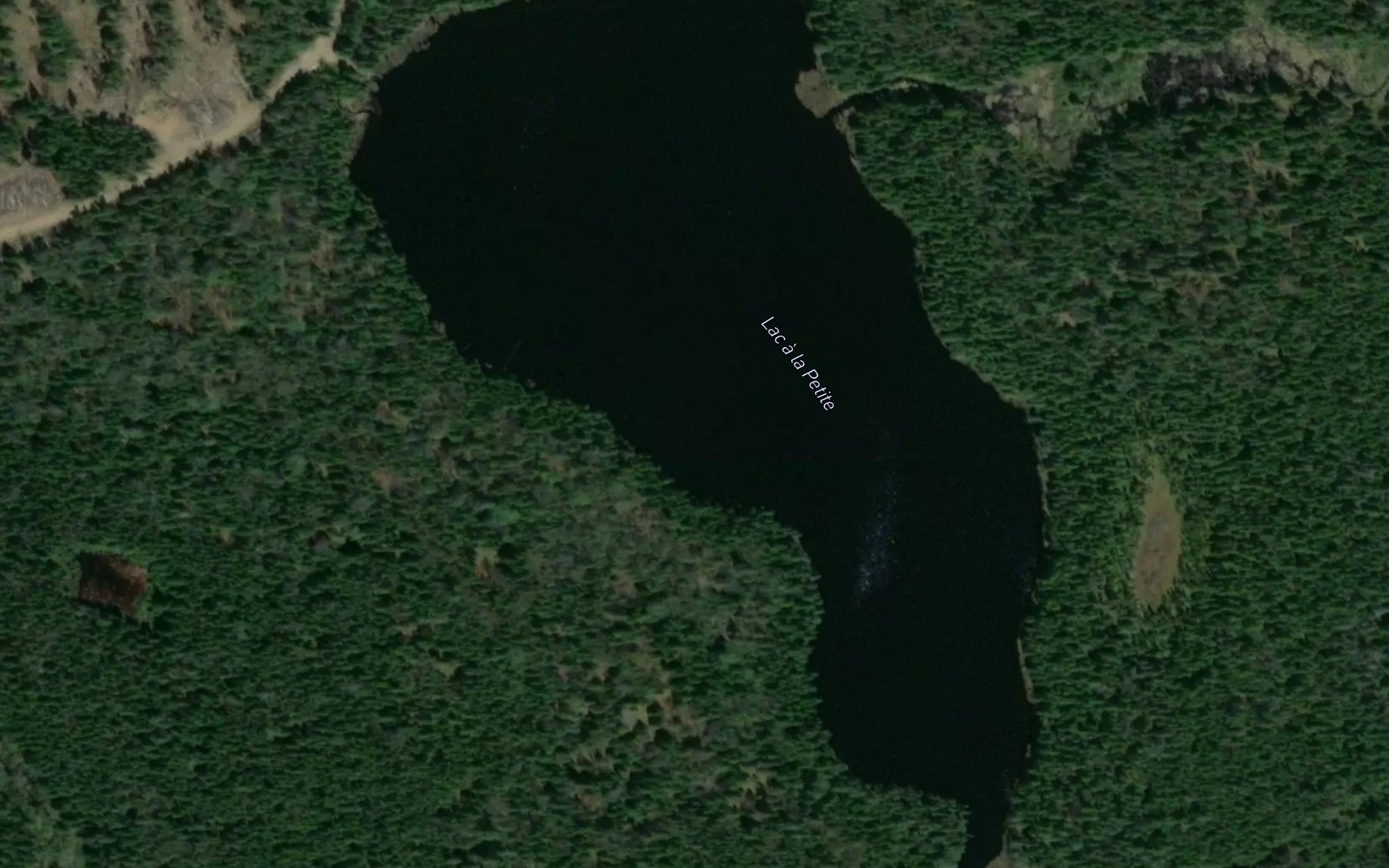 Satellite map of the Lac a la Petite