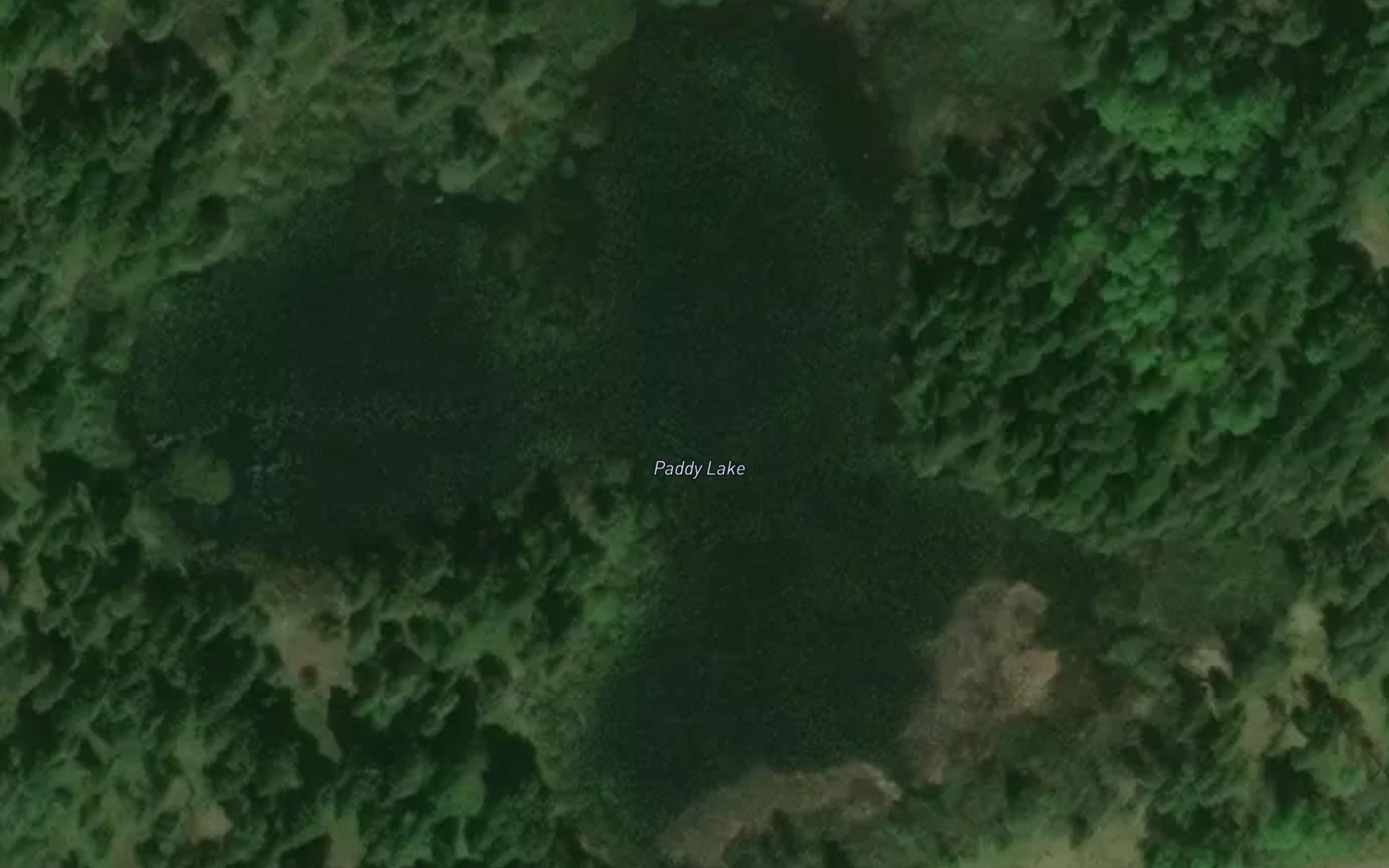 Paddy Lake