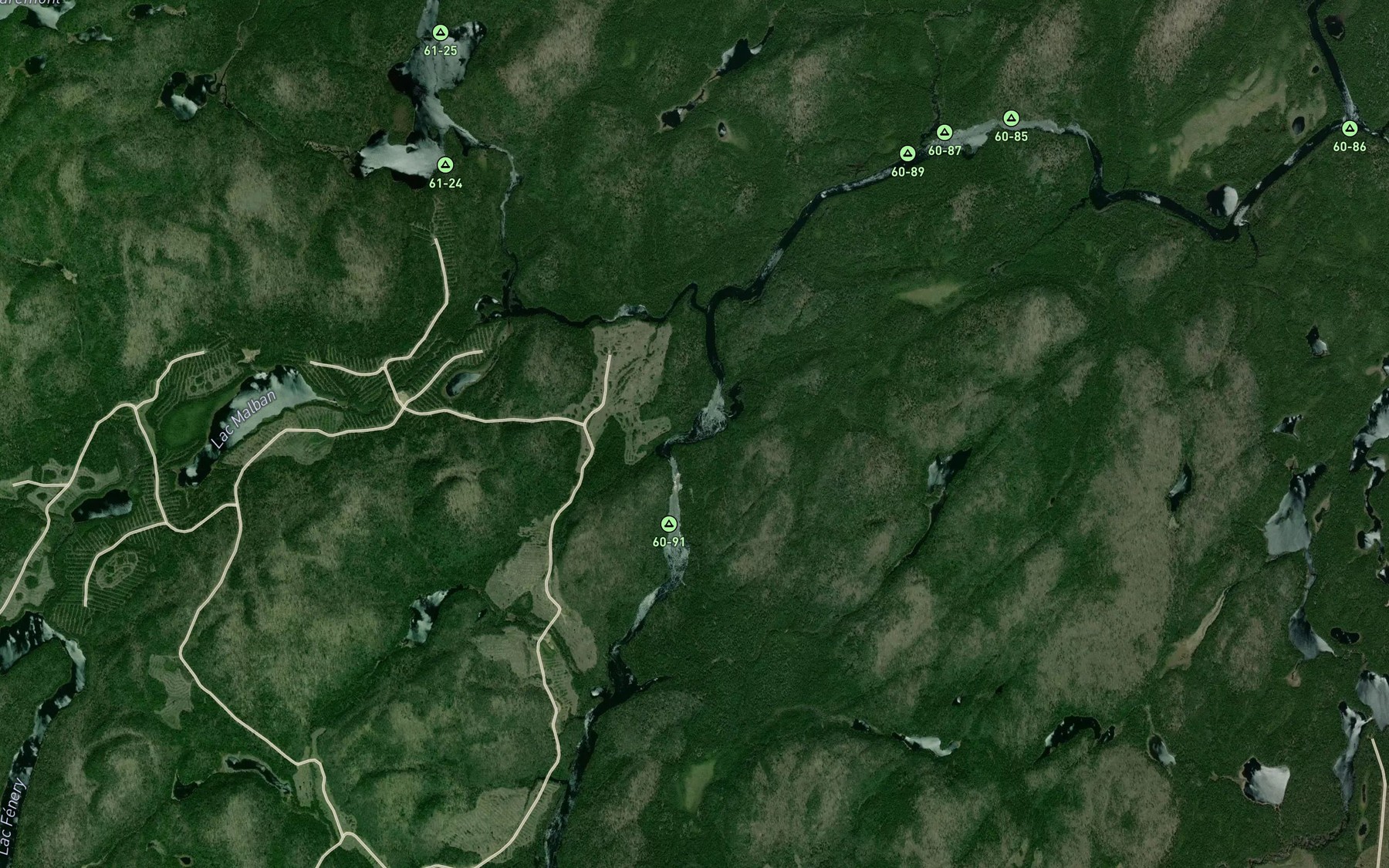 Satellite map of the Rapides Packizigan