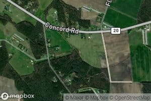 Black Savannah Ditch