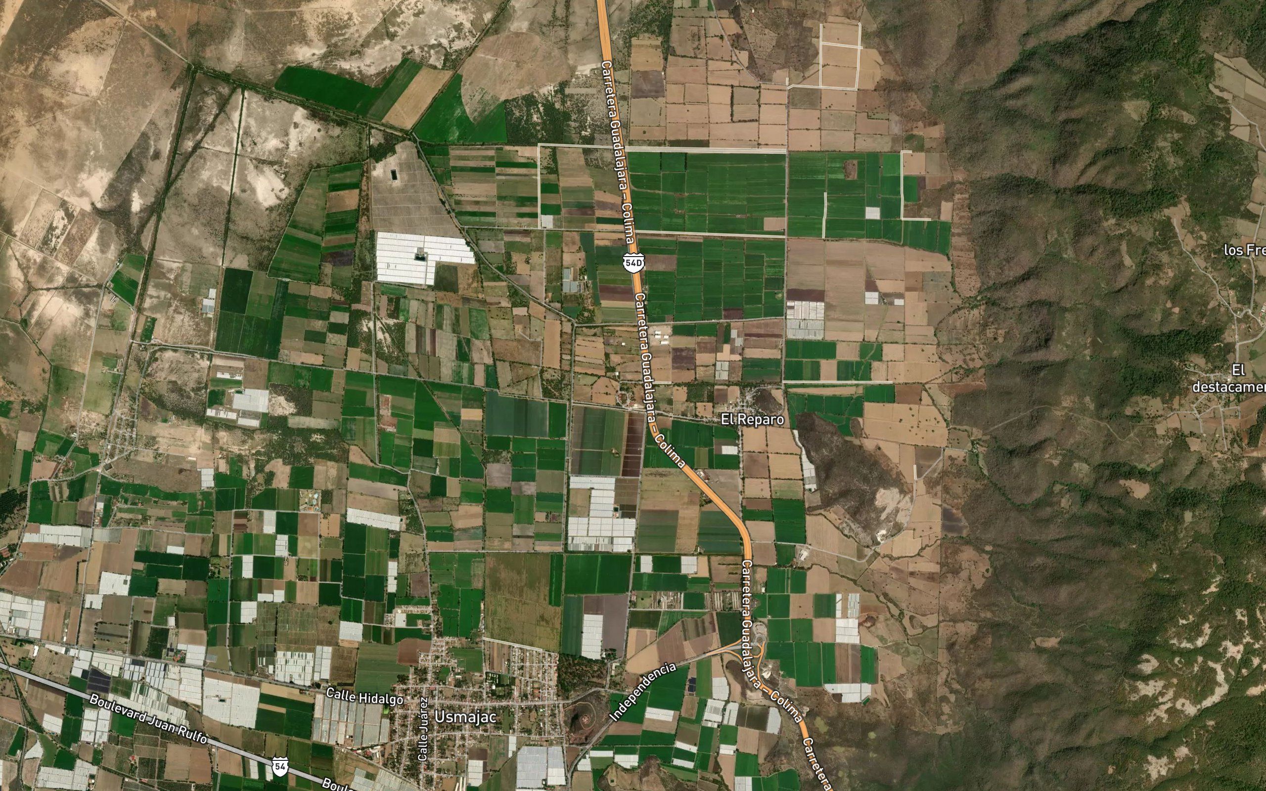 Tamaliagua