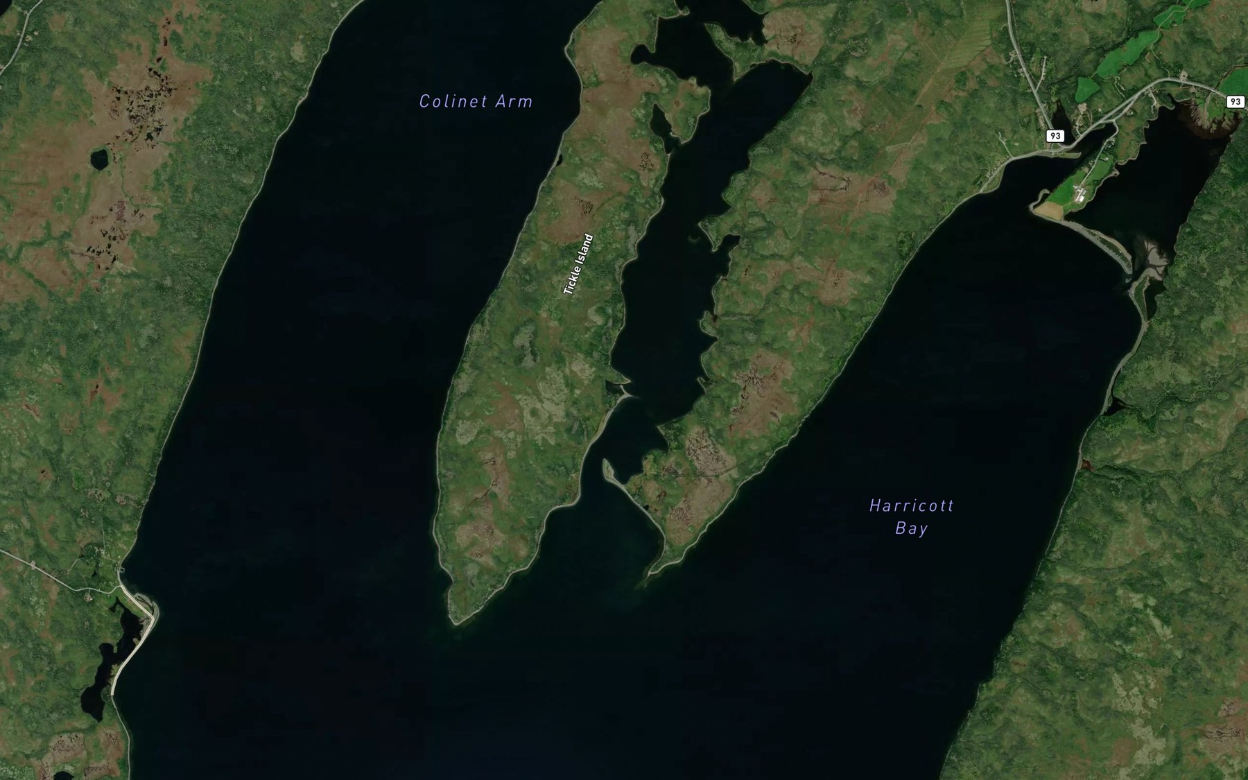 Satellite map of the Conways Pond