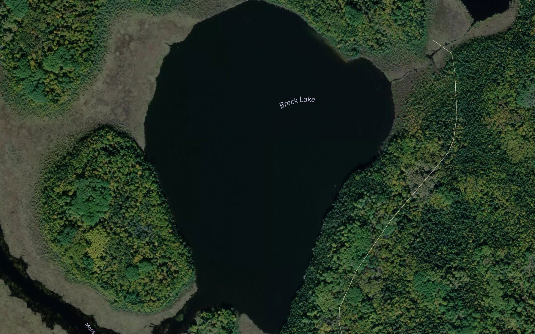 Satellite map of the Breck Lake
