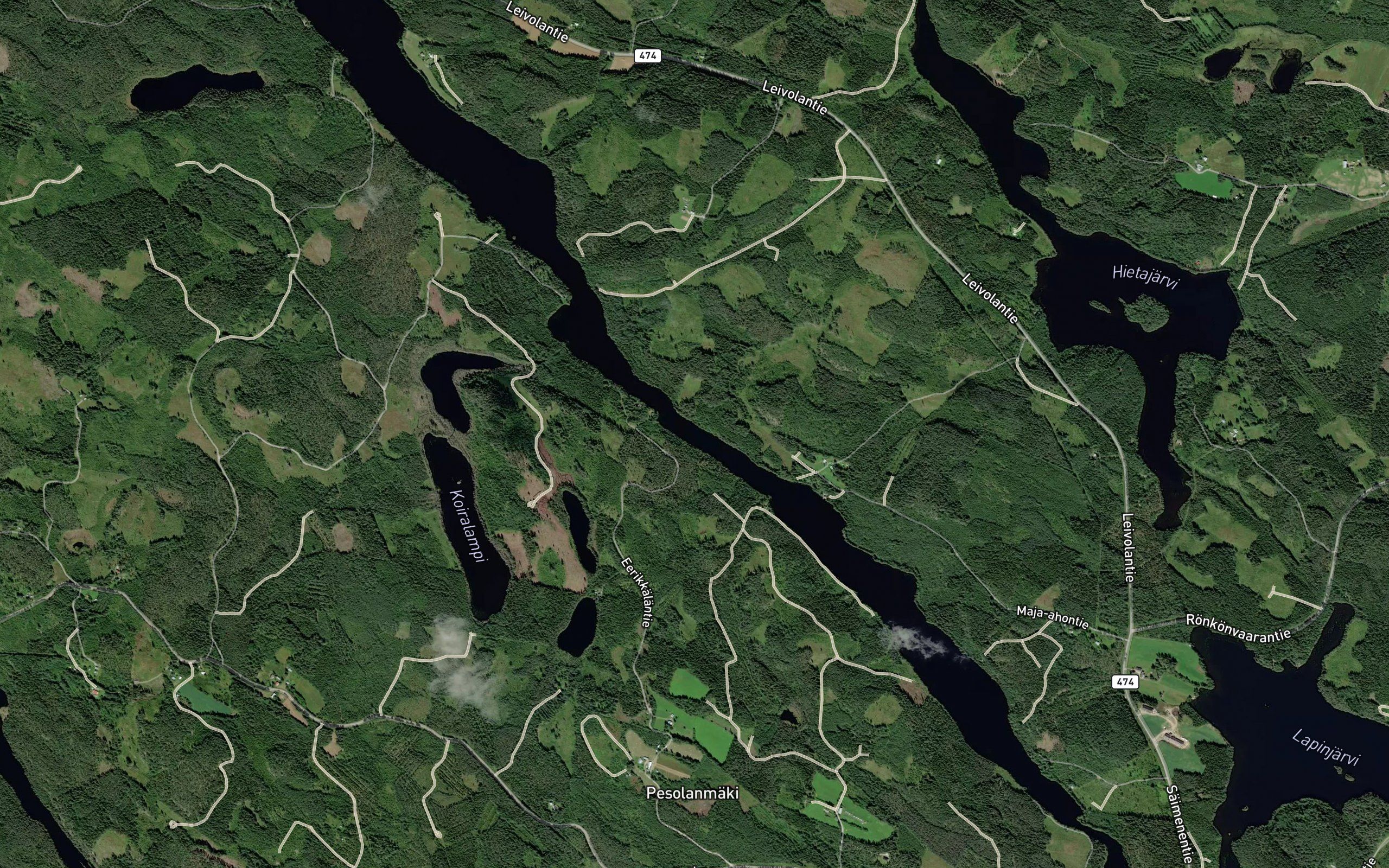 Kapeammansalmi