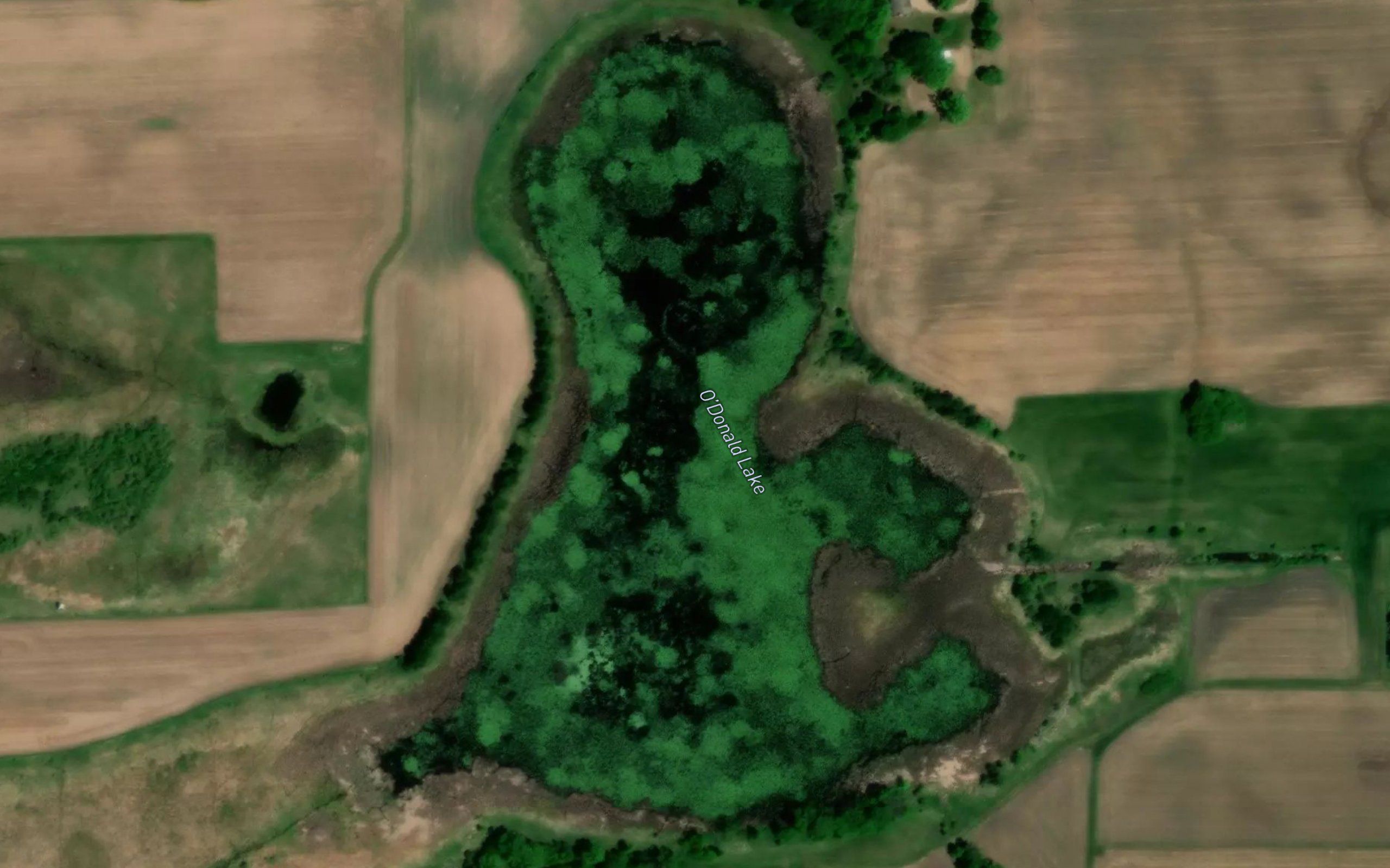 O'Donald Lake