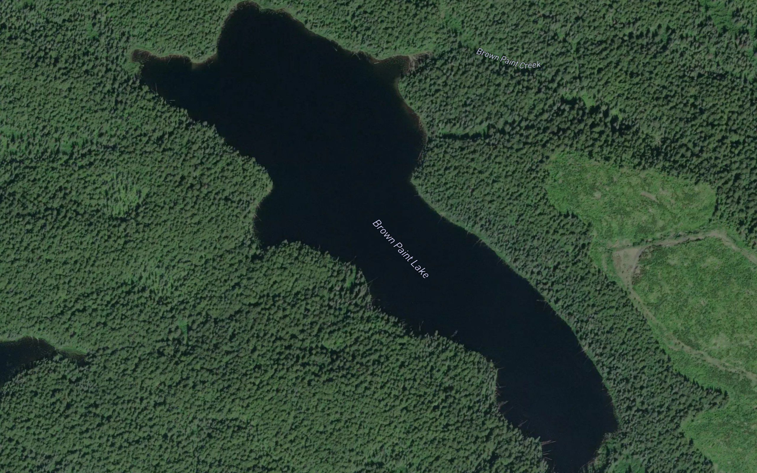 Brown Paint Lake