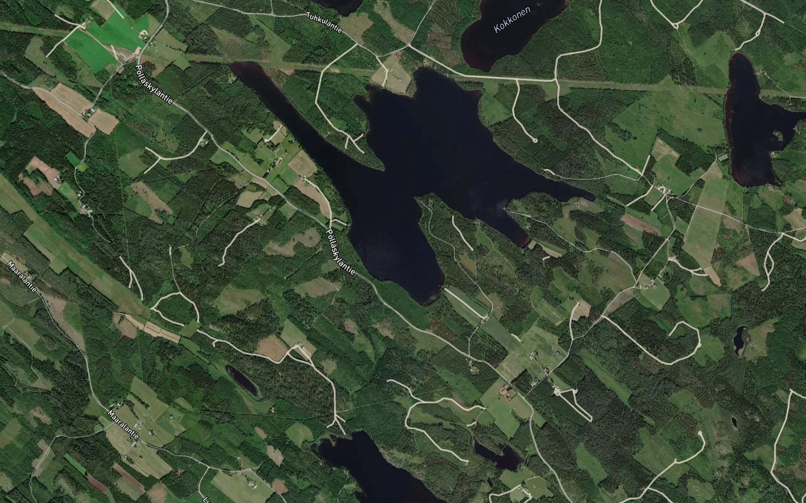 Patkanlahti
