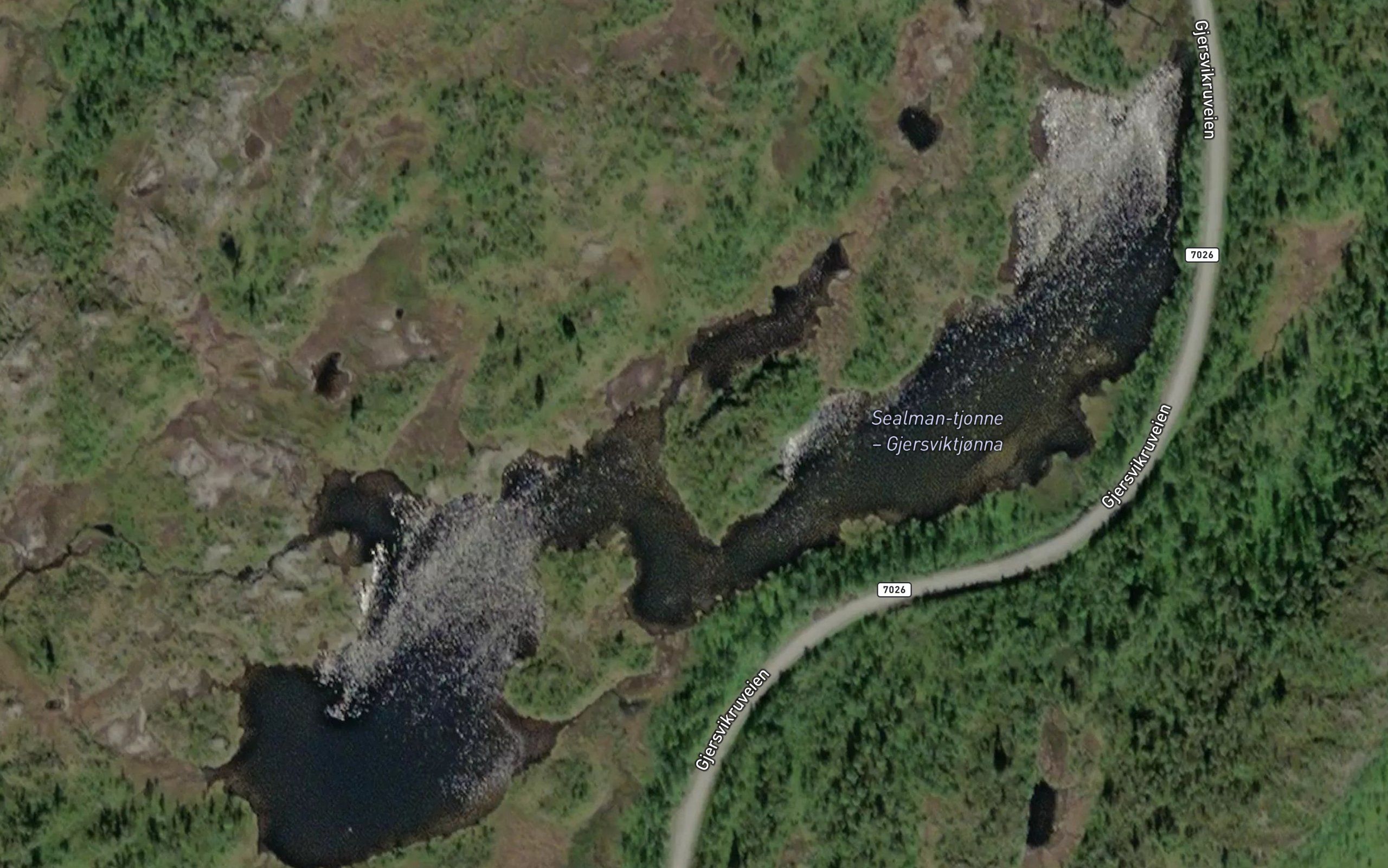 Gjersviktjorna