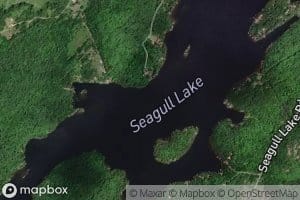 Seagull Lake