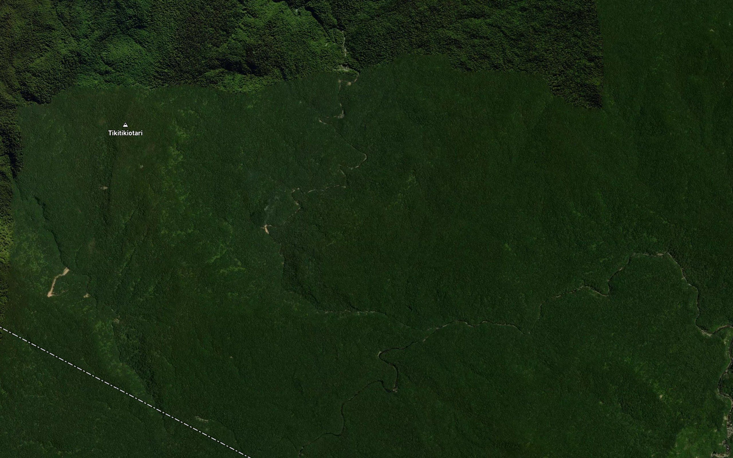 Tupunui Stream
