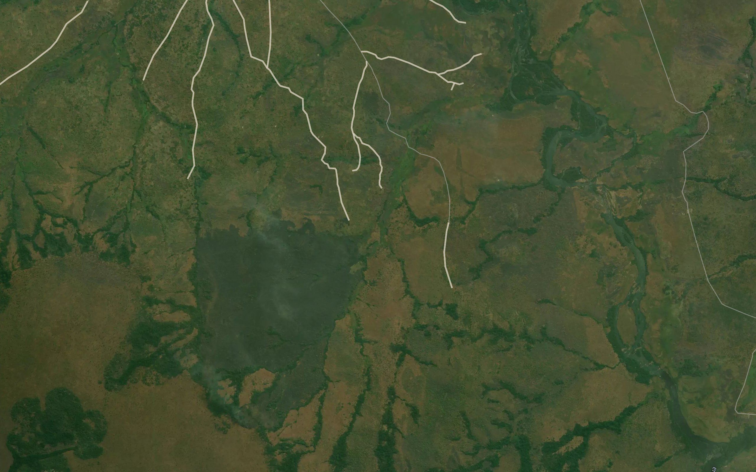 Kavanga