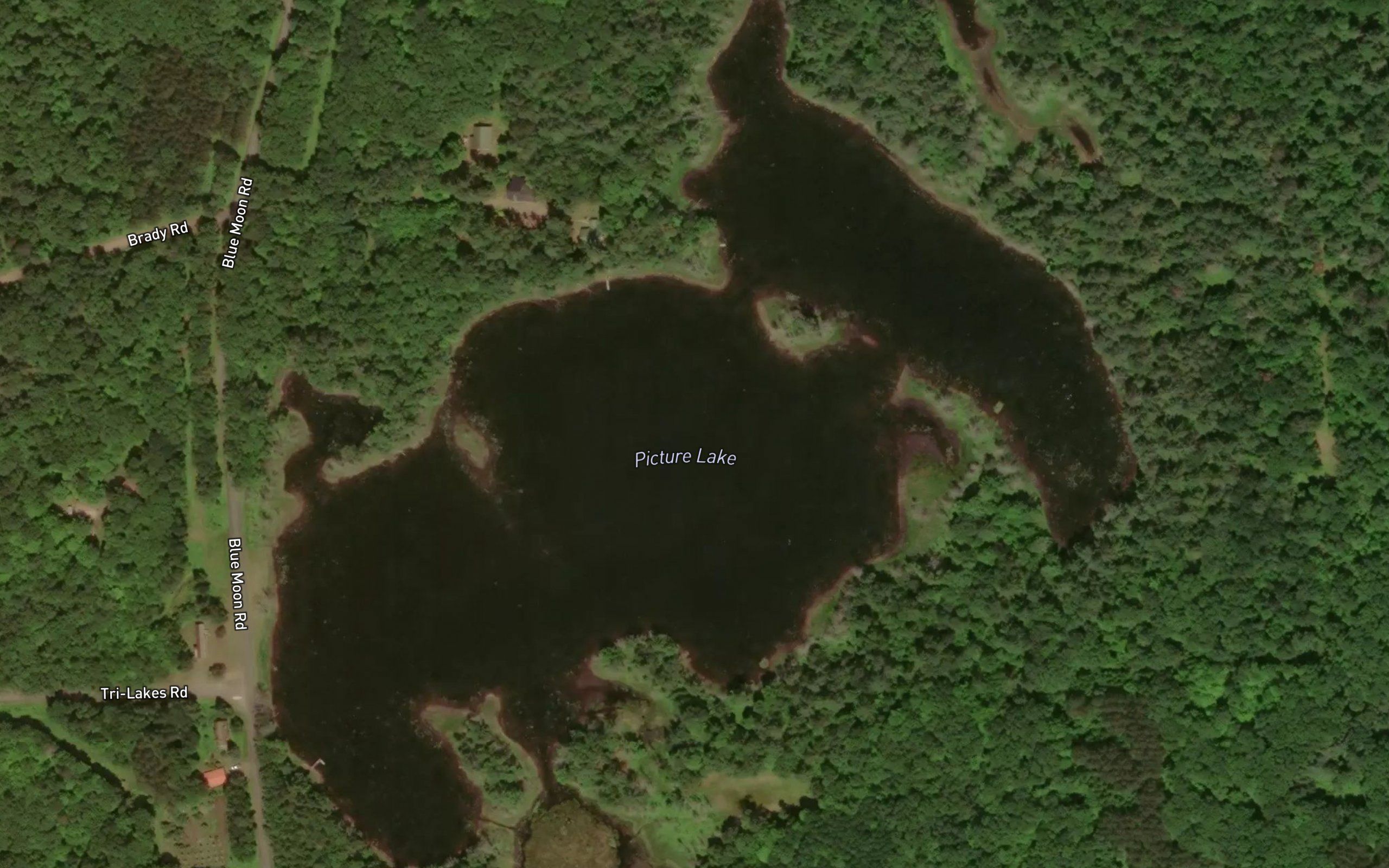 Picture Lake