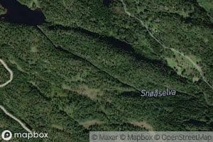Snoaselva