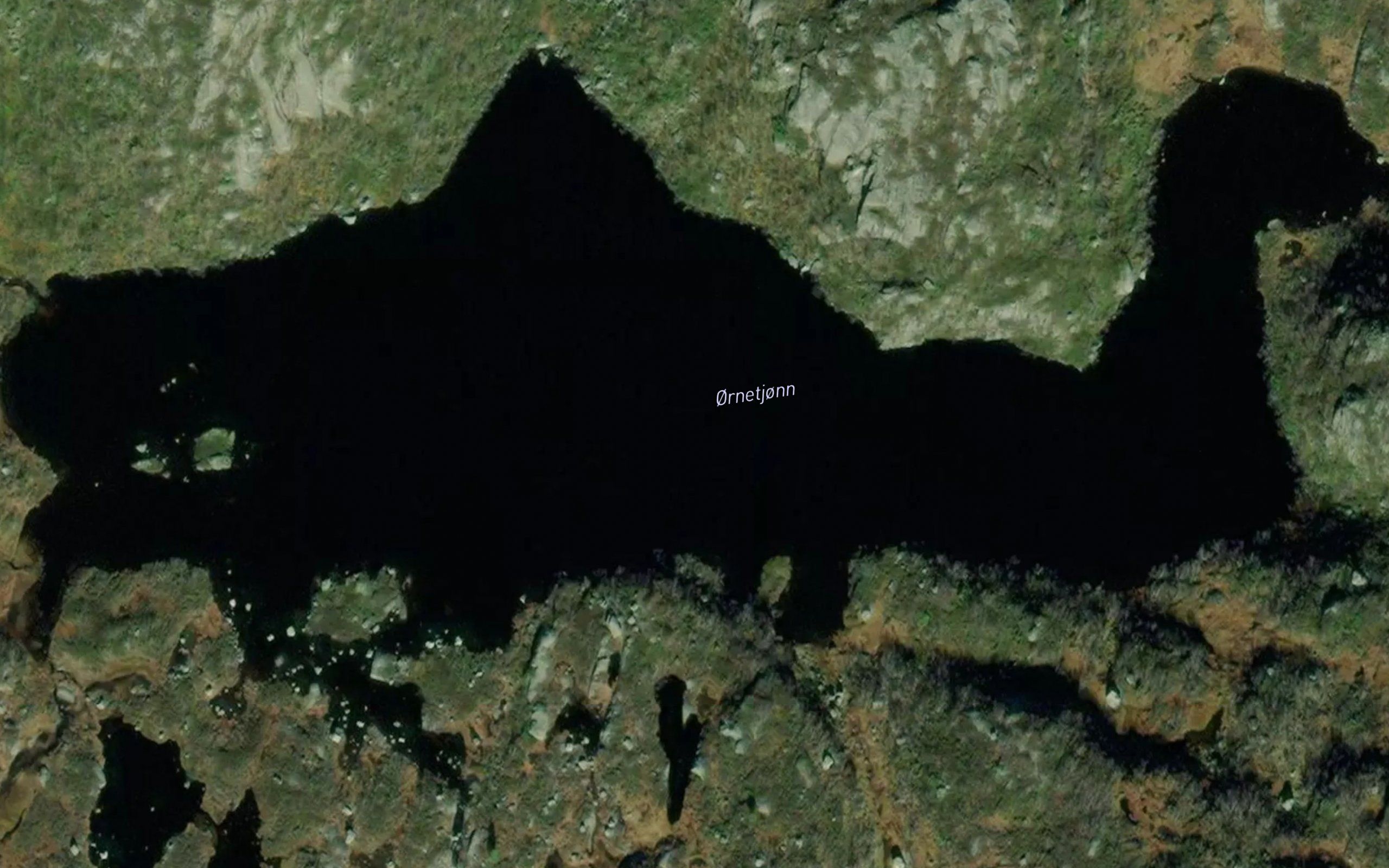 Ornetjorn