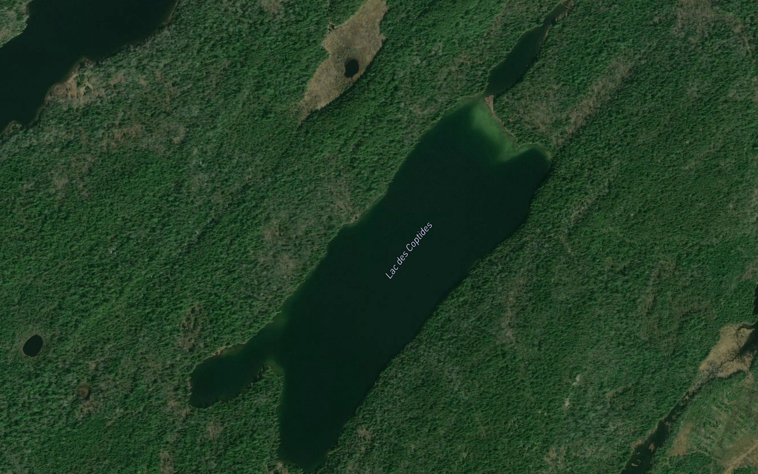 Lac des Coptides