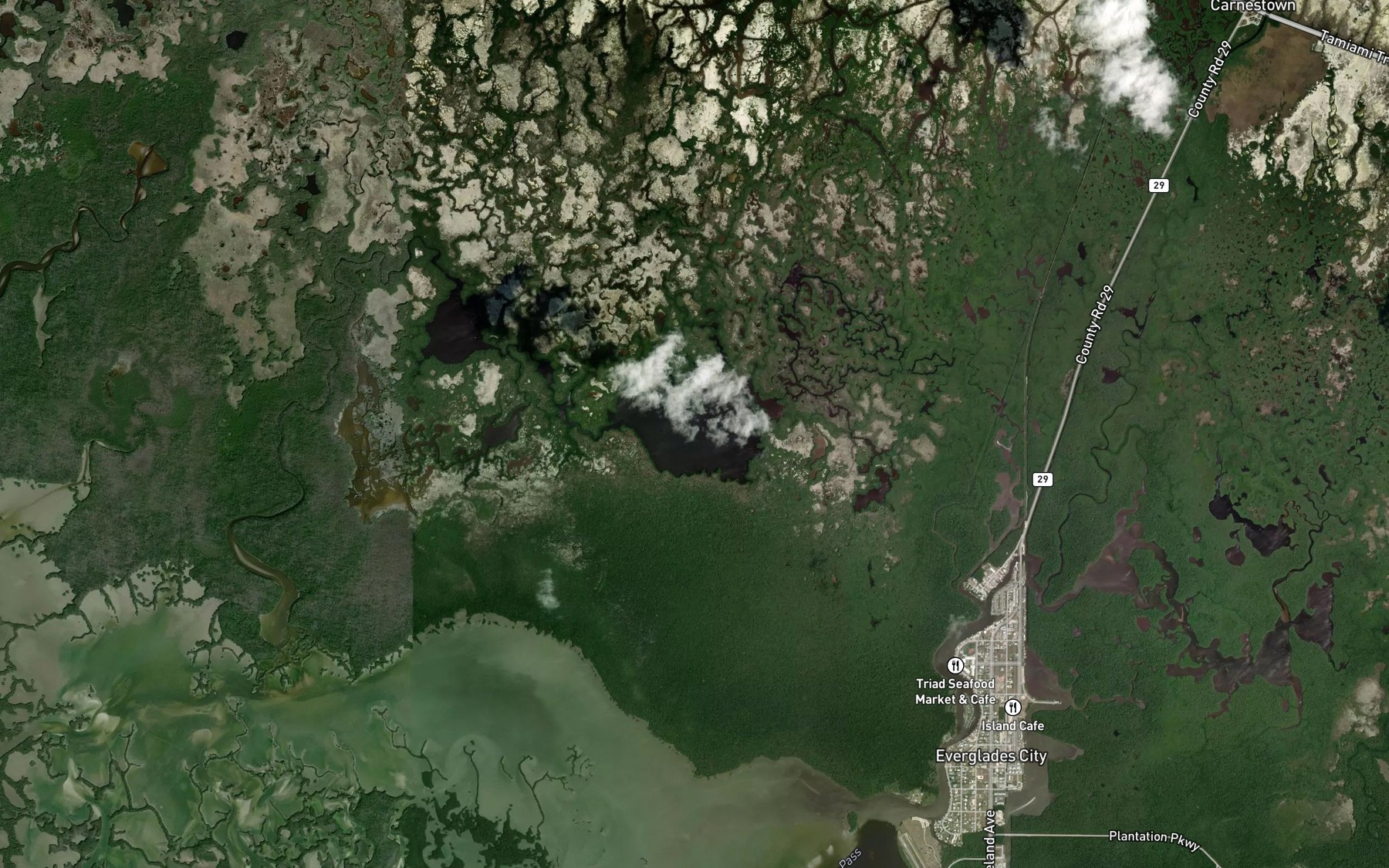 Satellite map of the Ferguson Bay