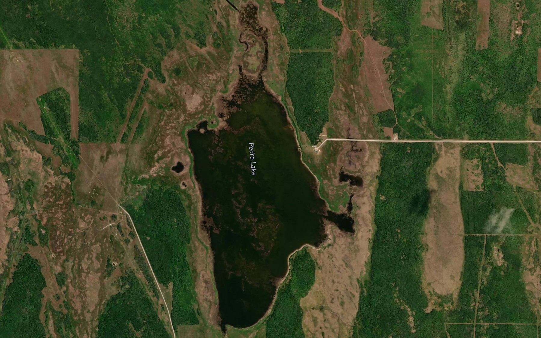 Satellite map of the Pedro Lake