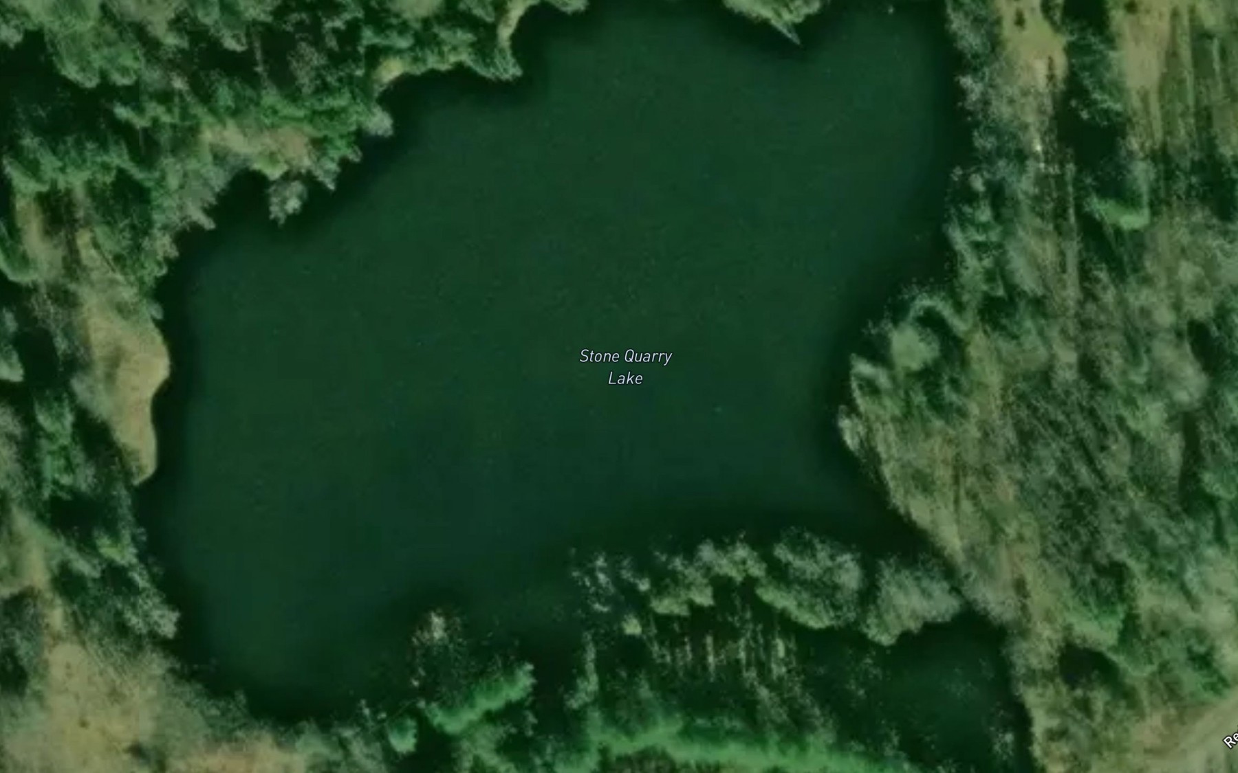 Satellite map of the Stone Quarry Lake