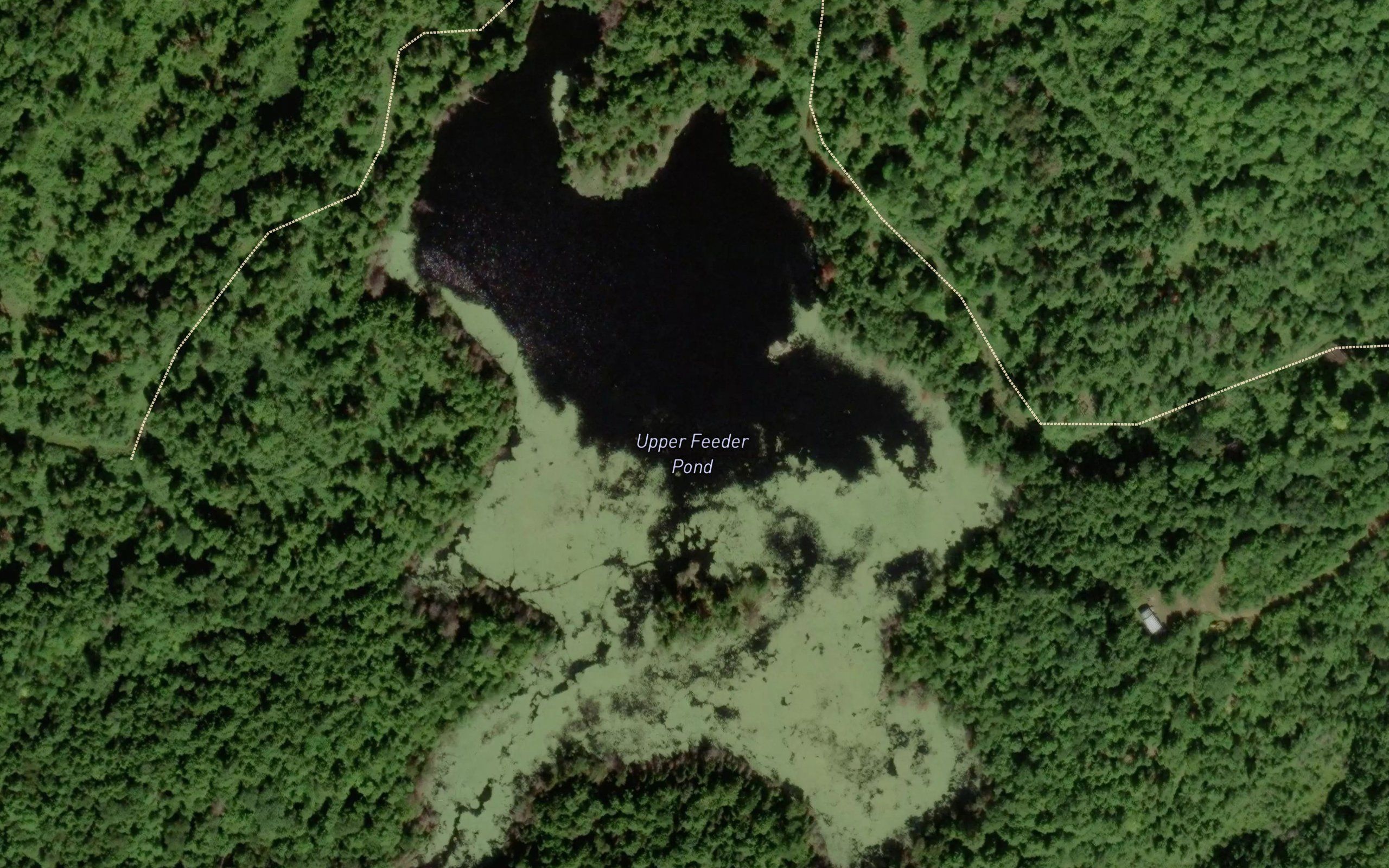 Upper Feeder Pond