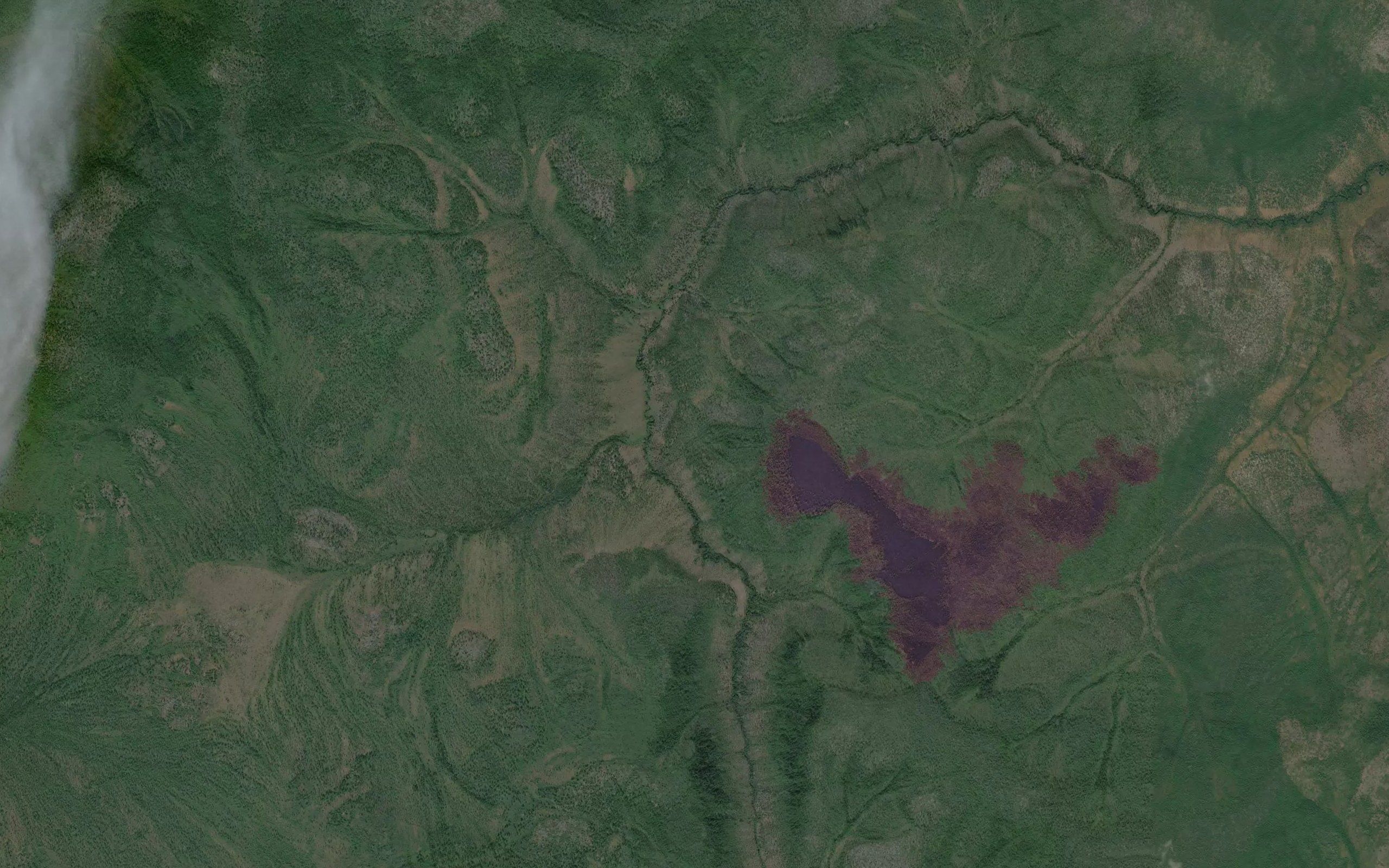 Yakodak