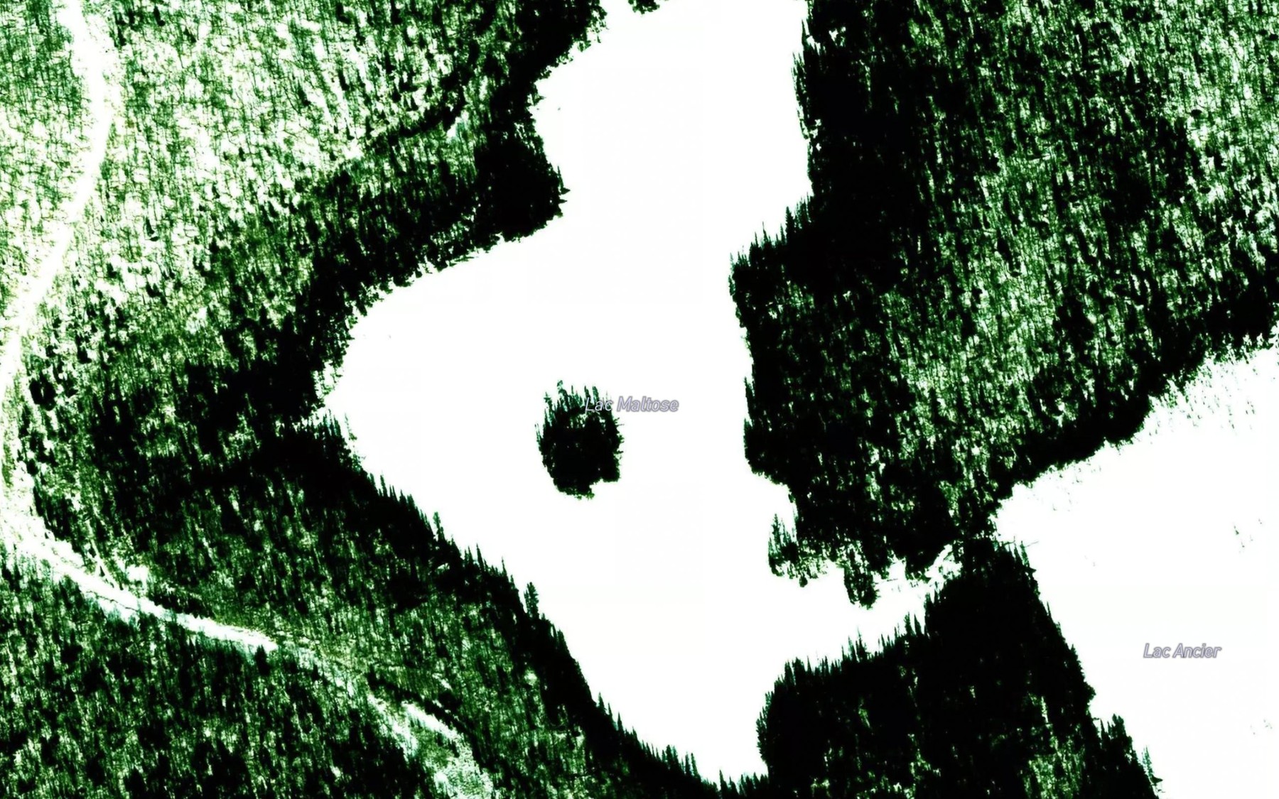 Satellite map of the Lac Maltose