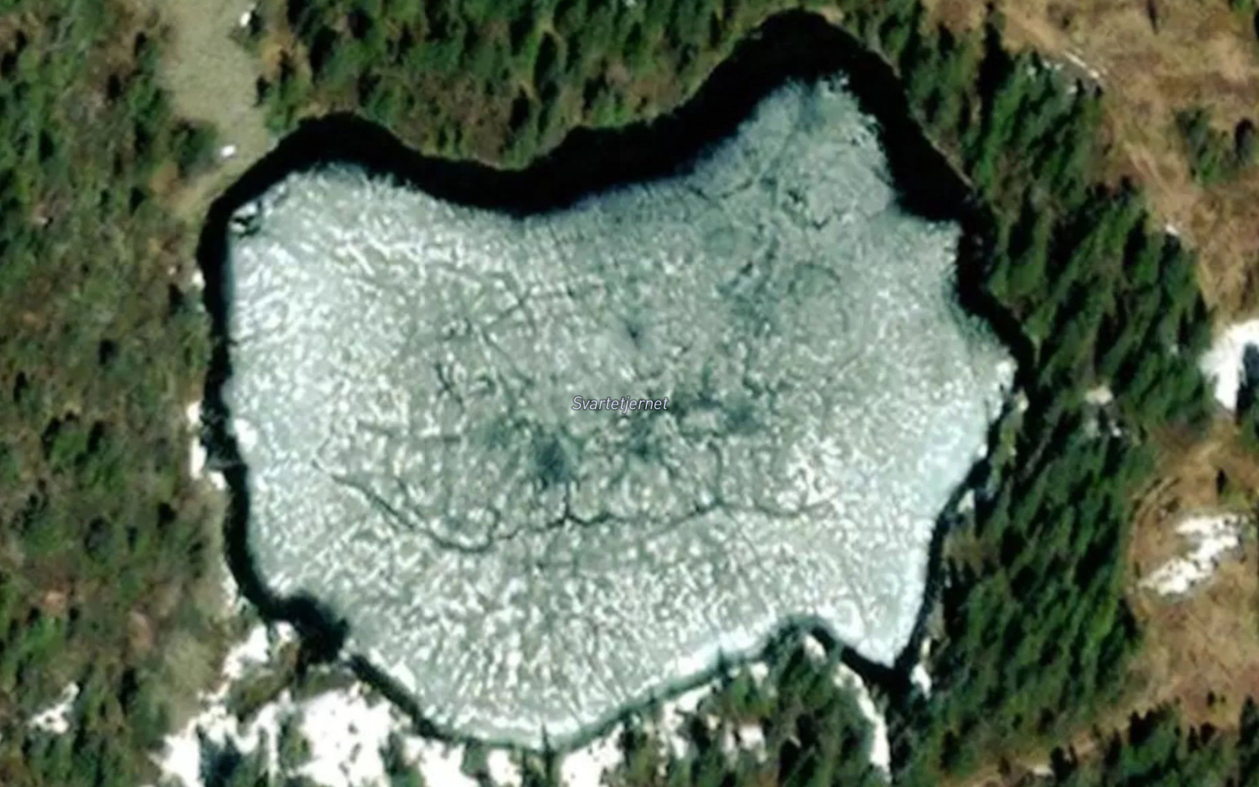 Svartetjernet