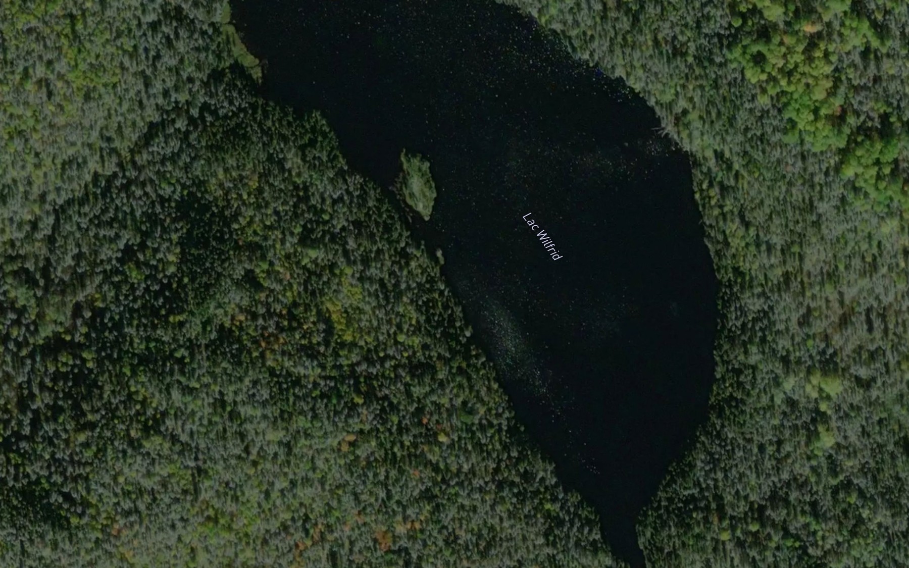 Satellite map of the Lac Wilfrid