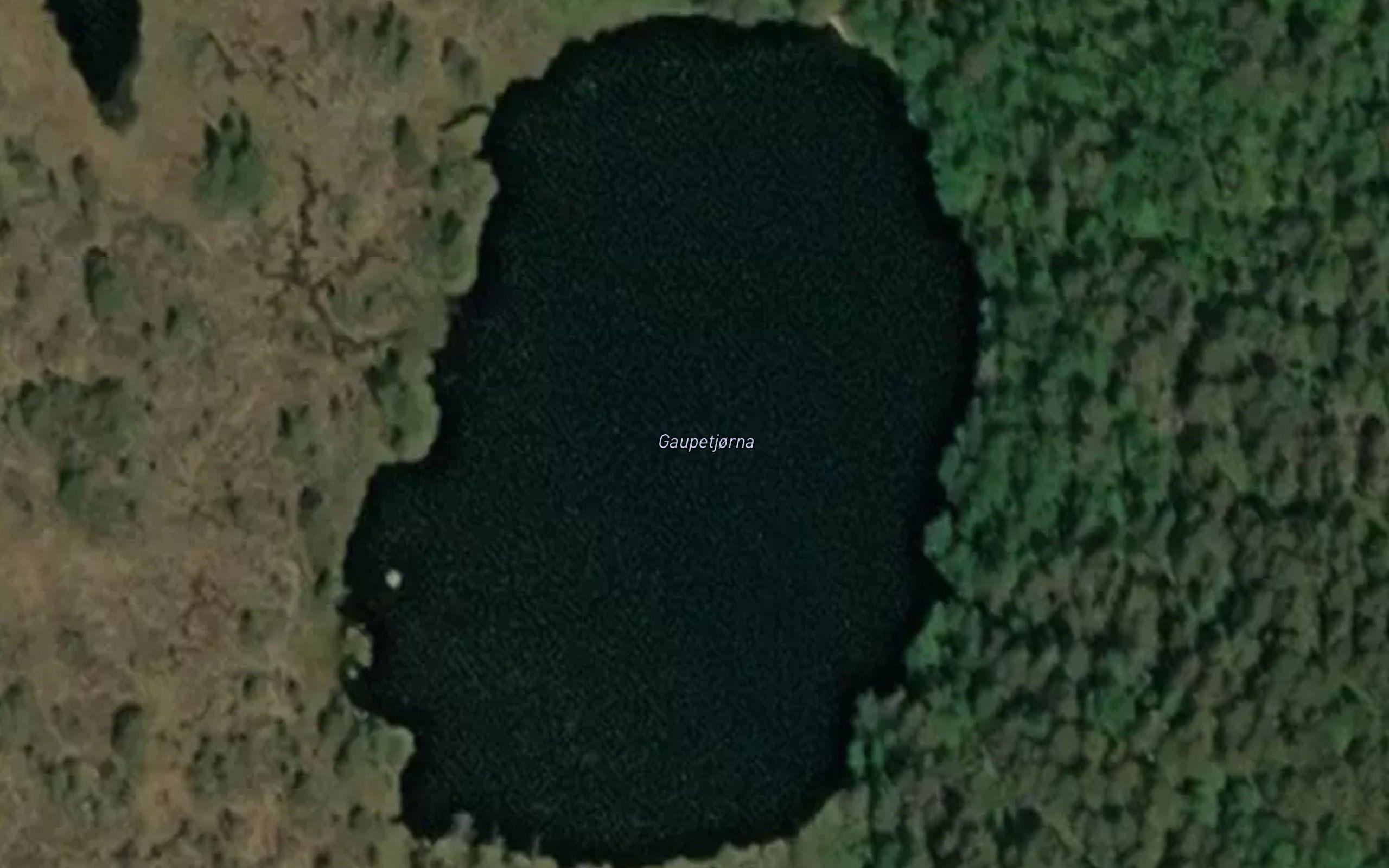 Gaupetjorn