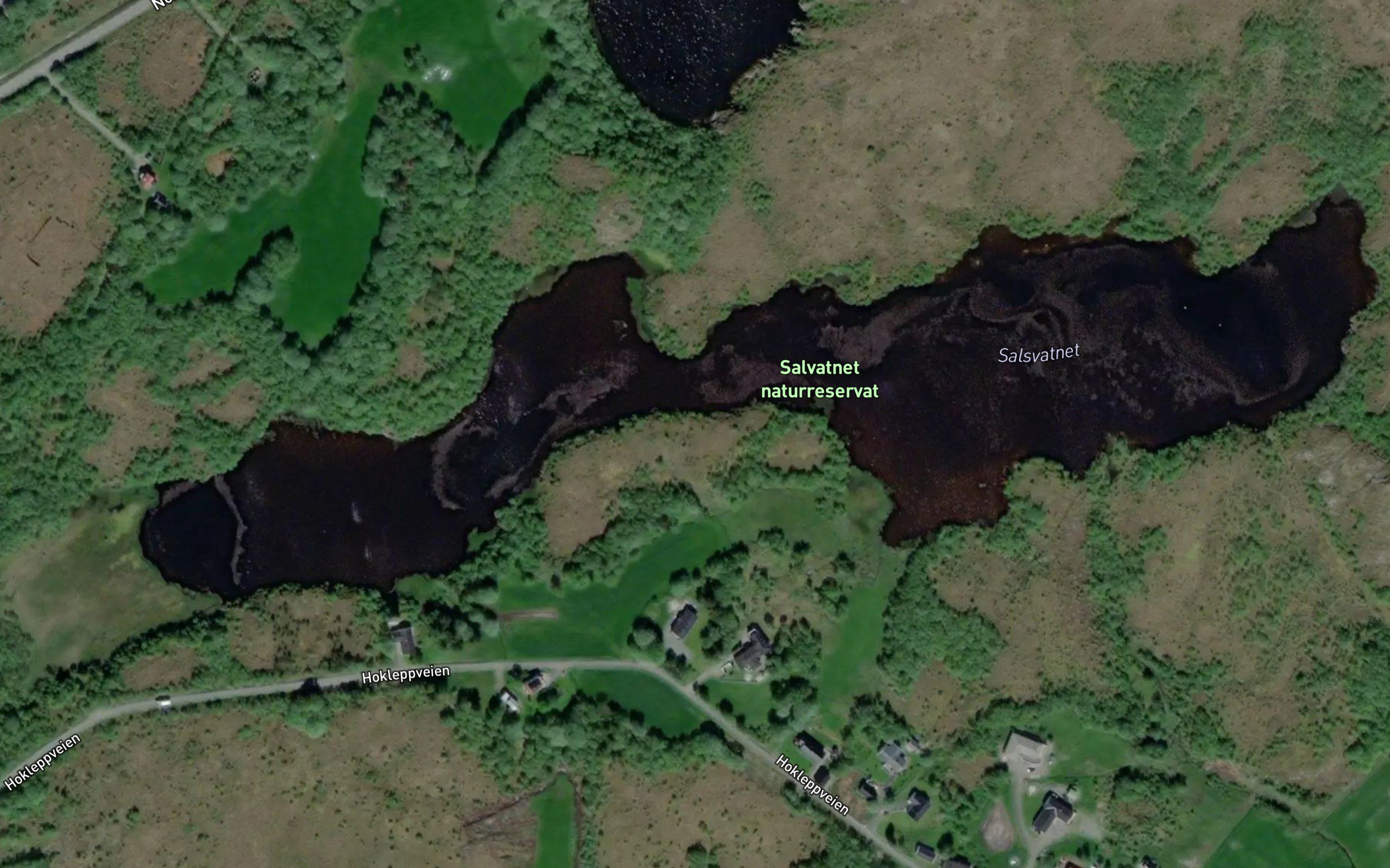 Salsvatnet