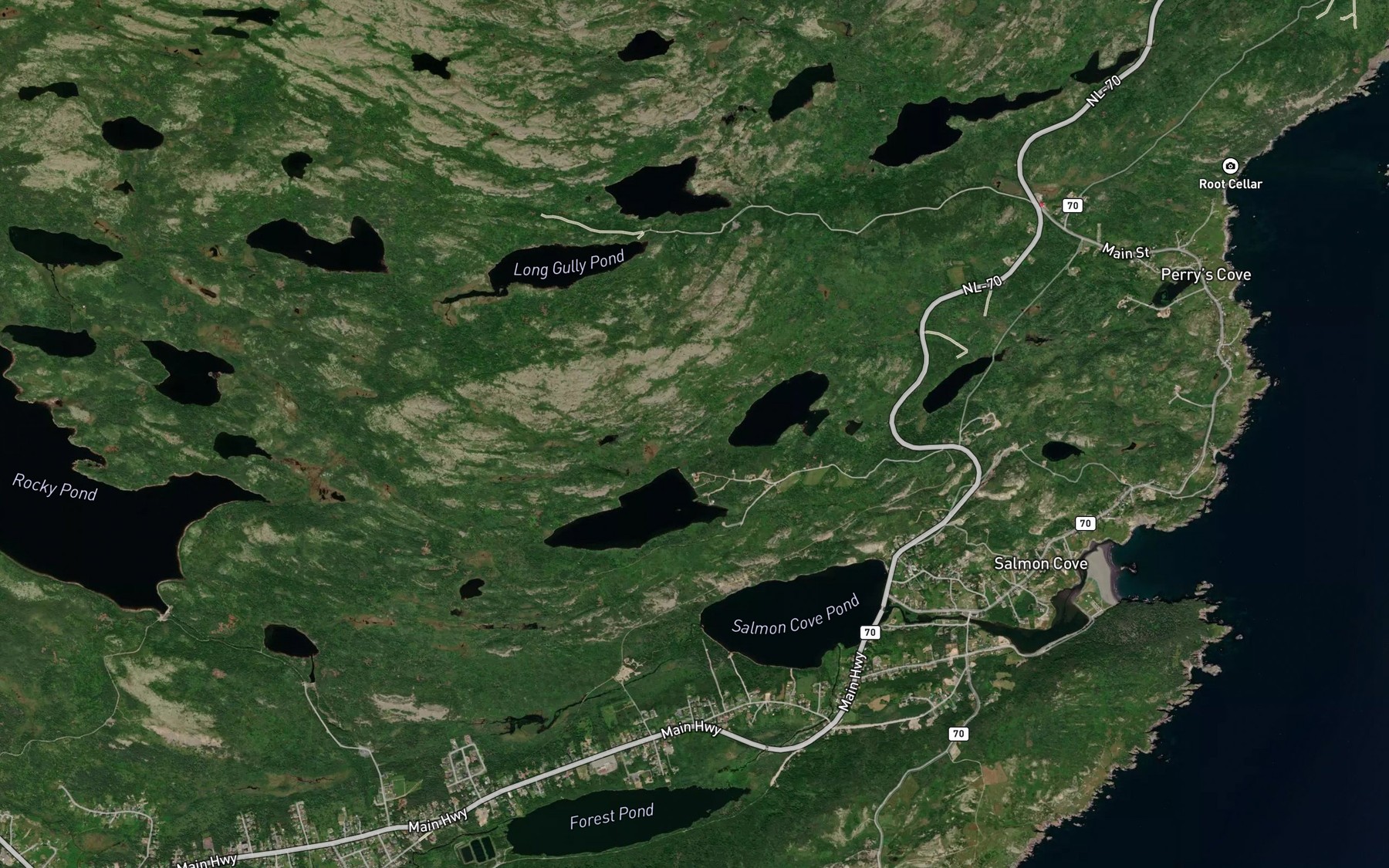 Satellite map of the Business Pond