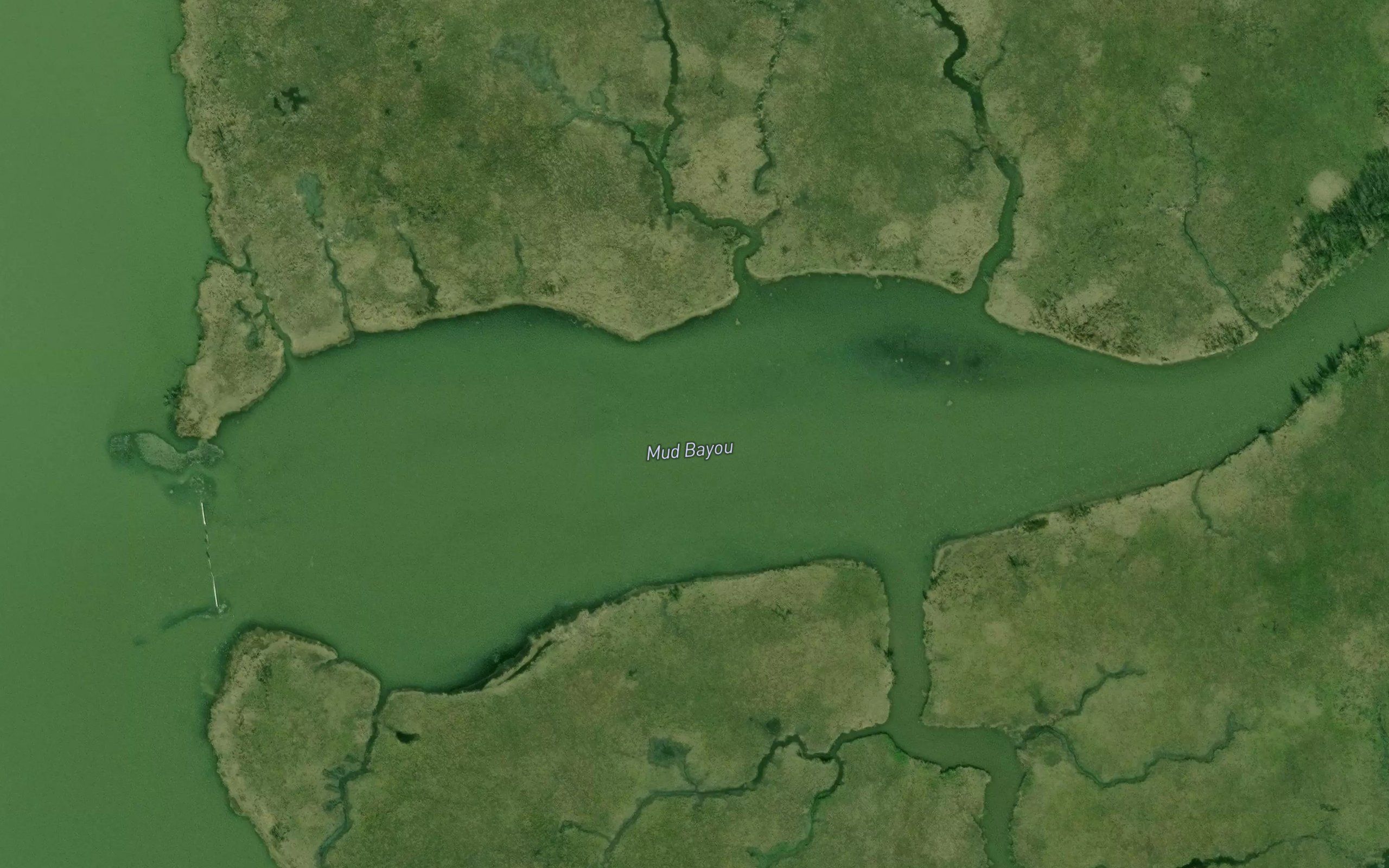 Mud Bayou