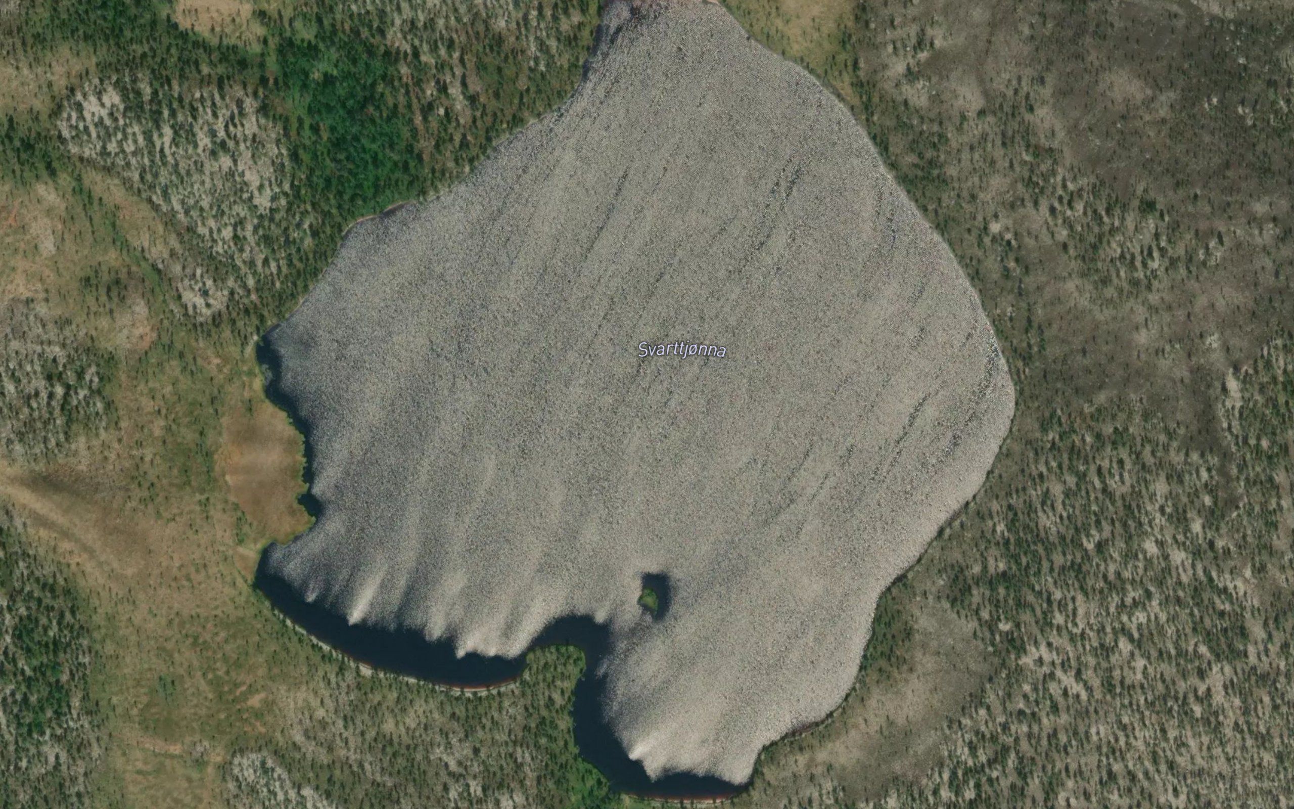 Svarttjorna