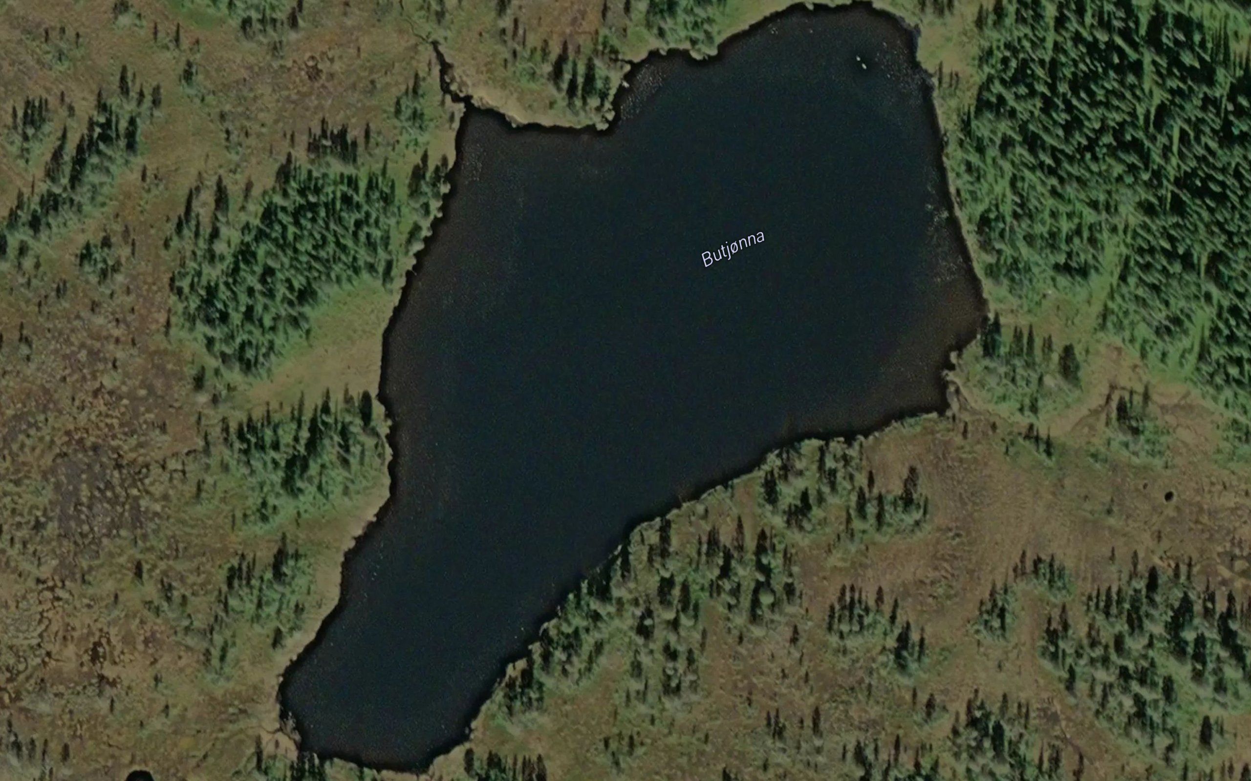 Butjorna