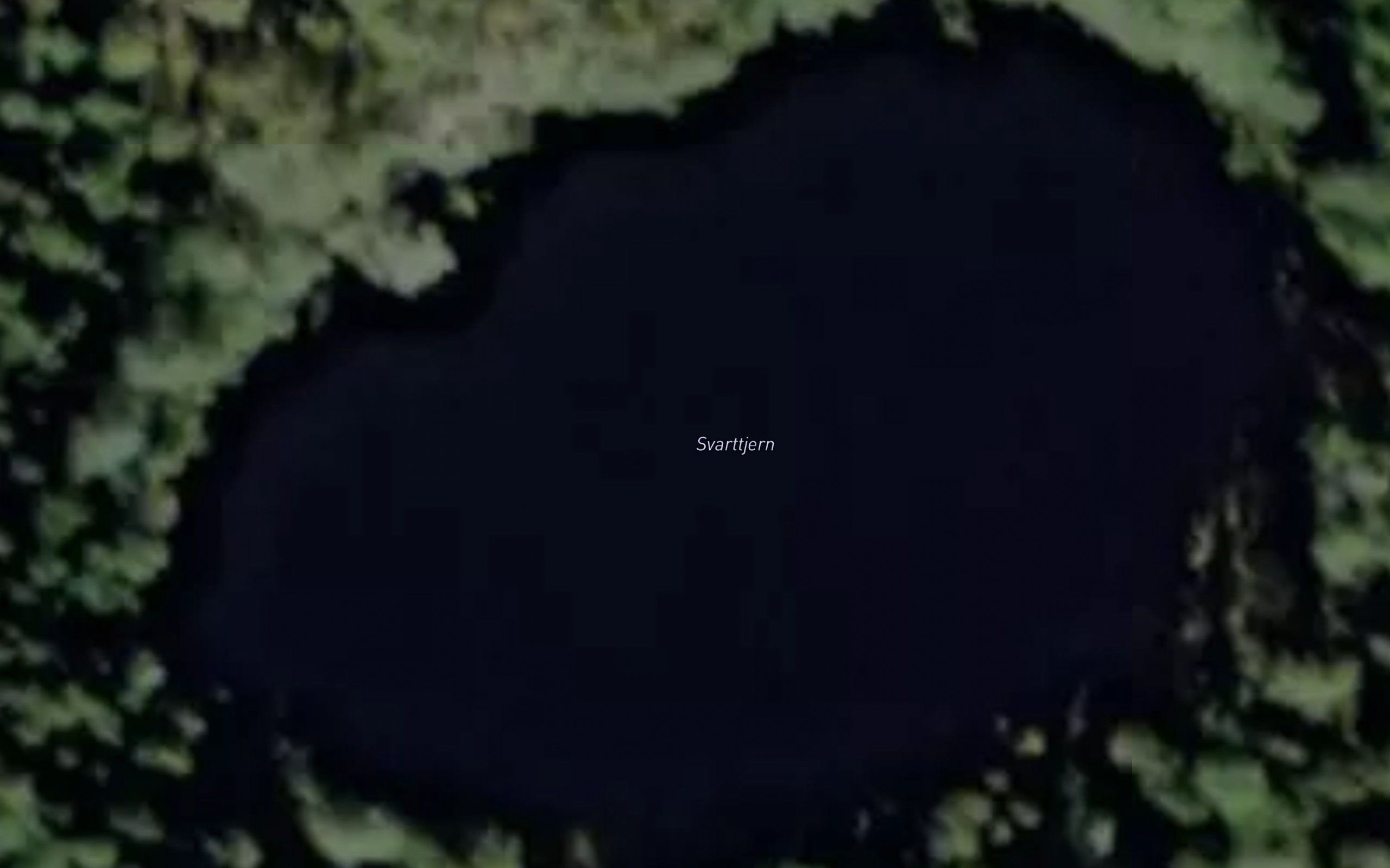 Svarttjern