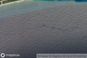 Ensenada de Mangles Altos