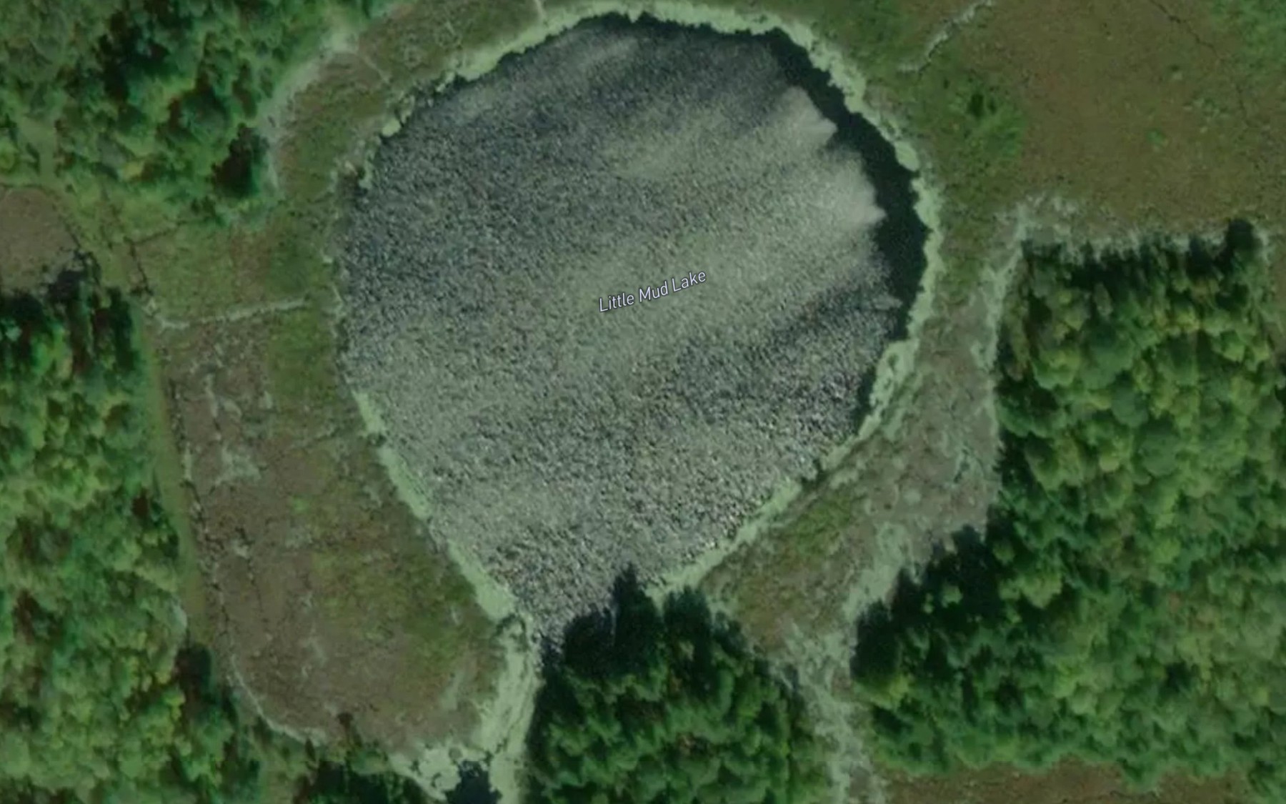 Satellite map of the Little Mud Lake