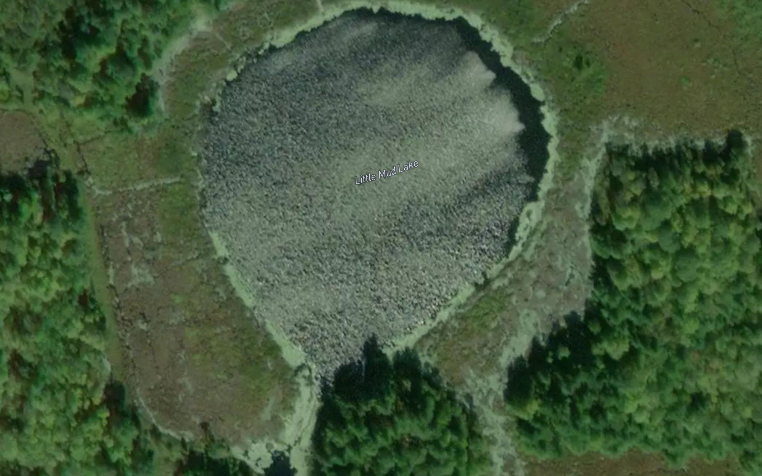 Little Mud Lake