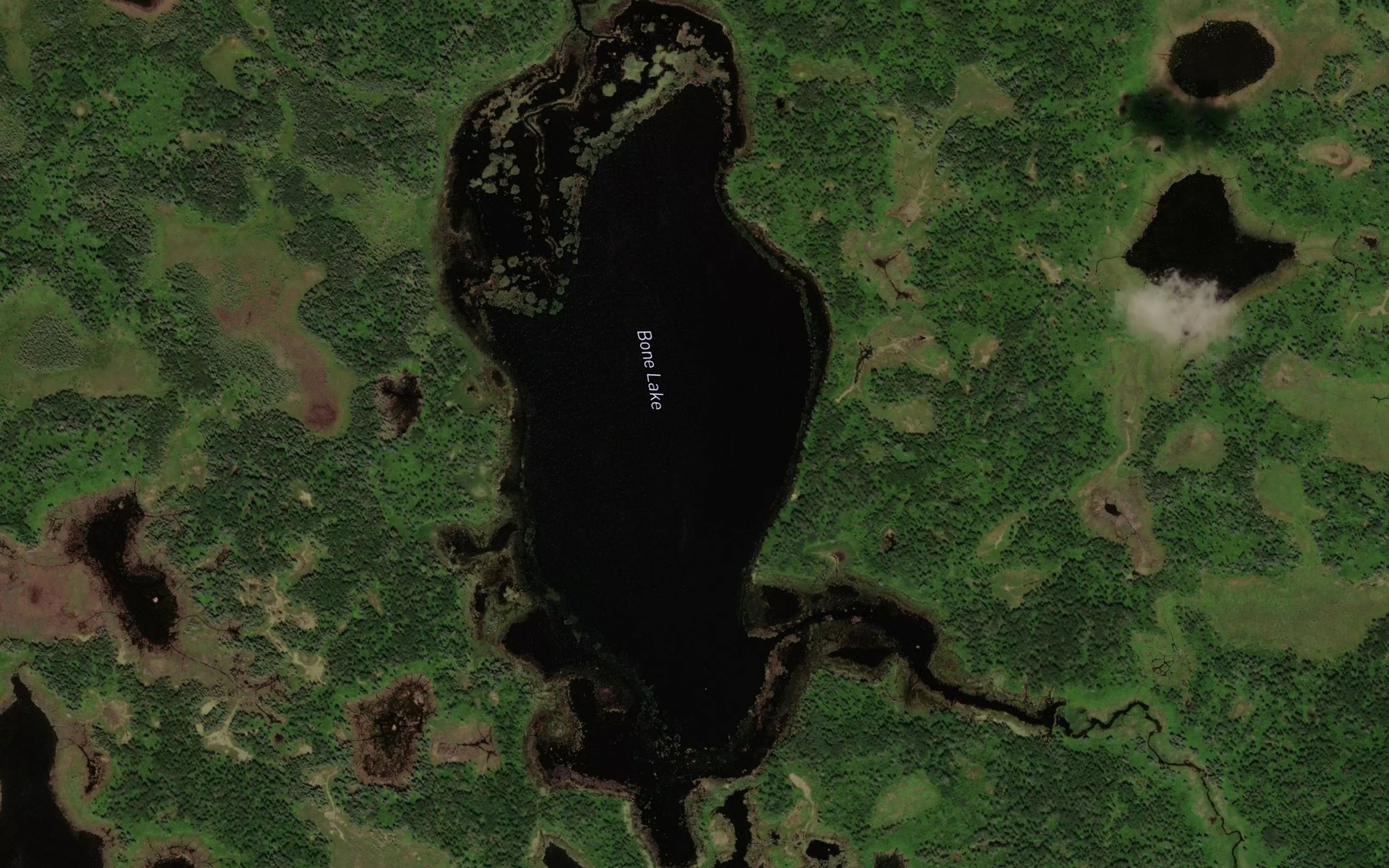 Satellite map of the Bone Lake