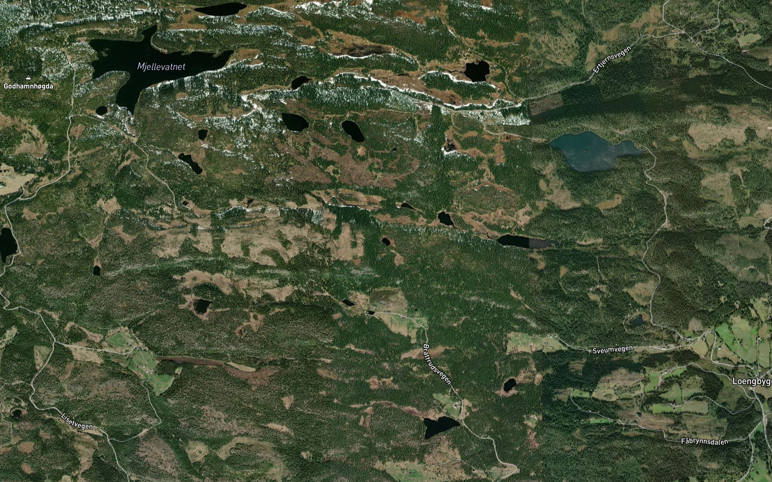 Skjeldneputten