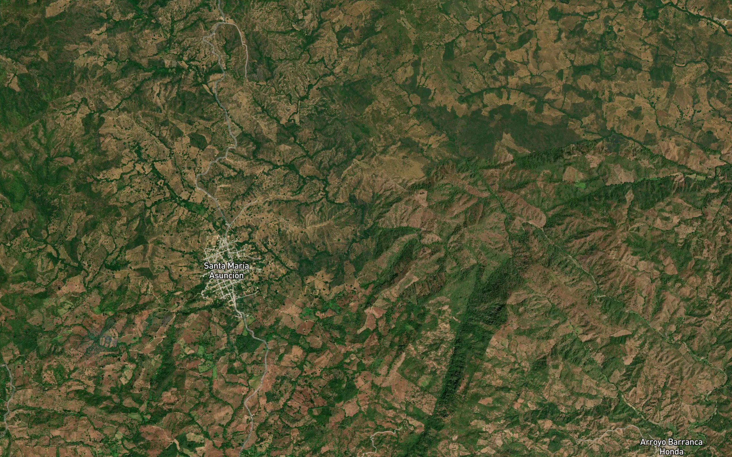 Ocoapa